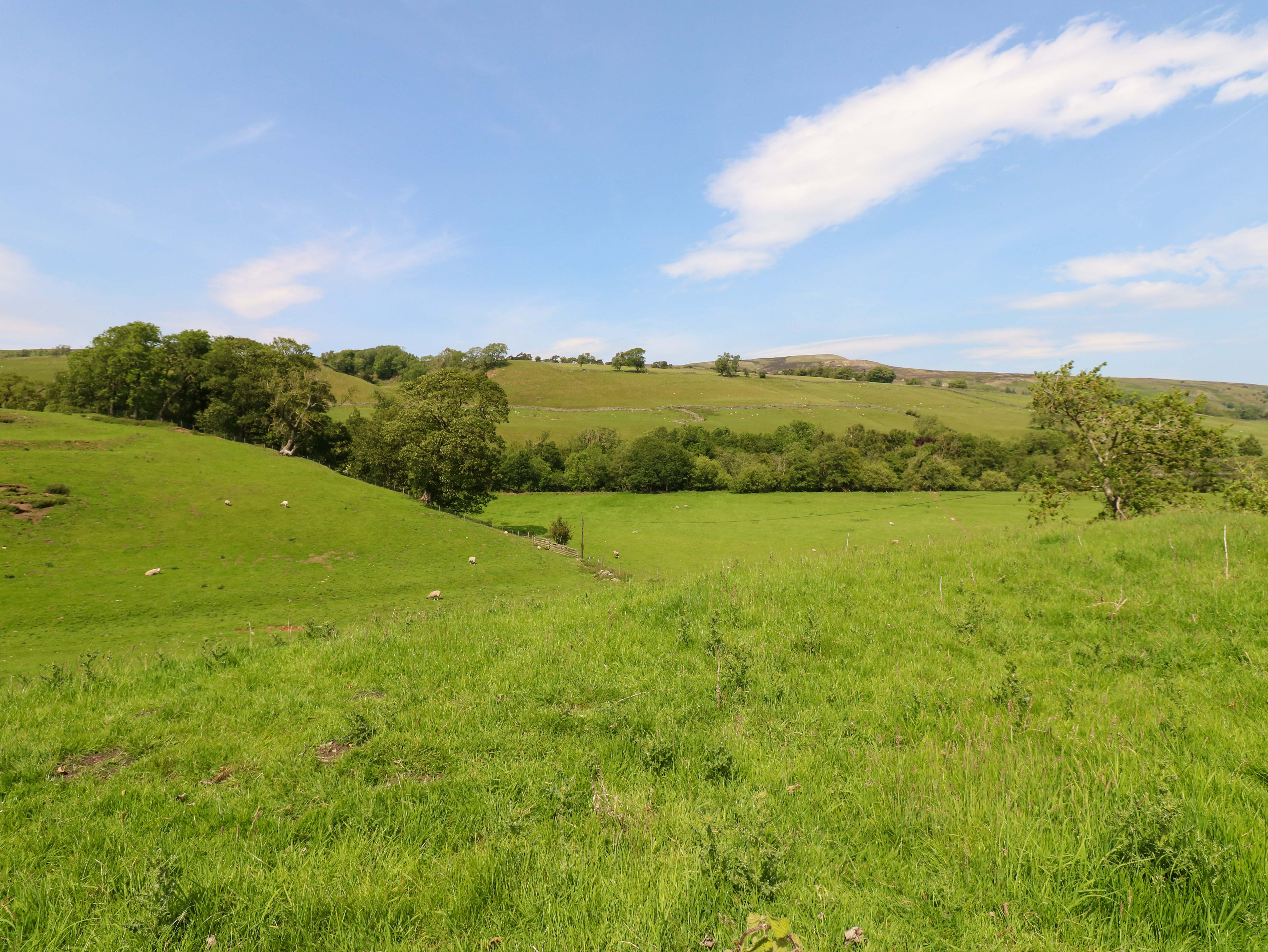 Property image 29 for SC1178261