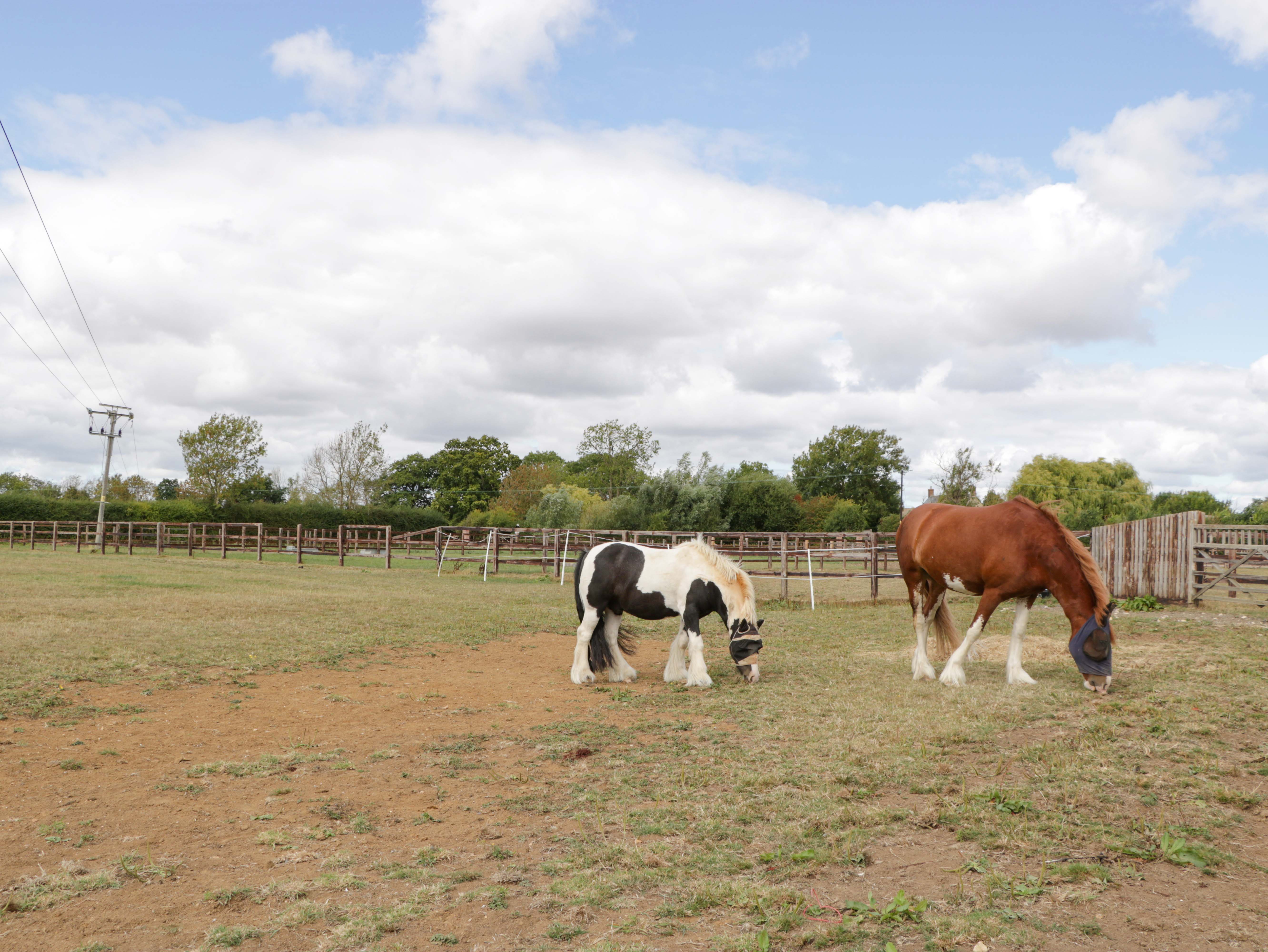 Property image 30 for SC1178332