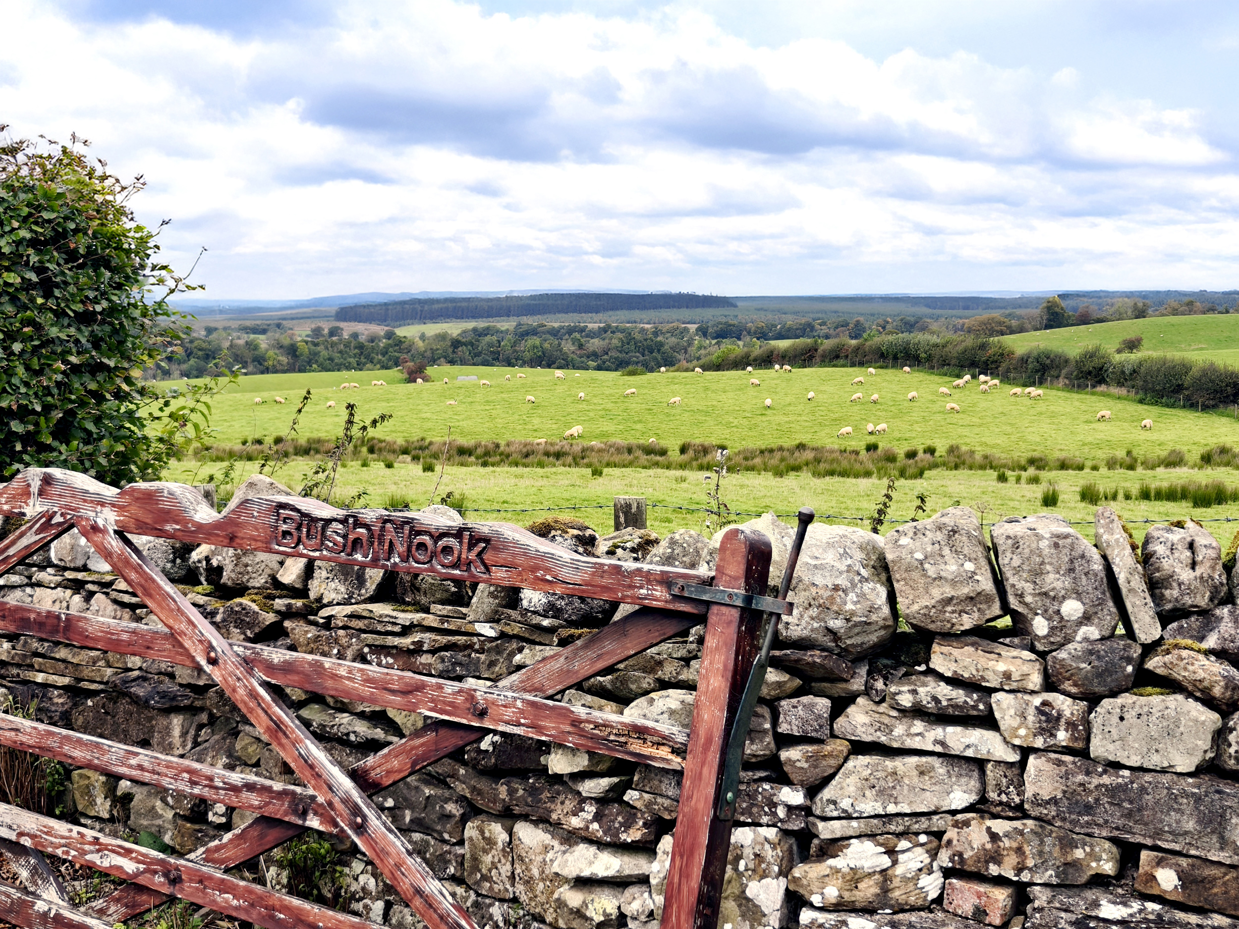 Property image 50 for SC1178353