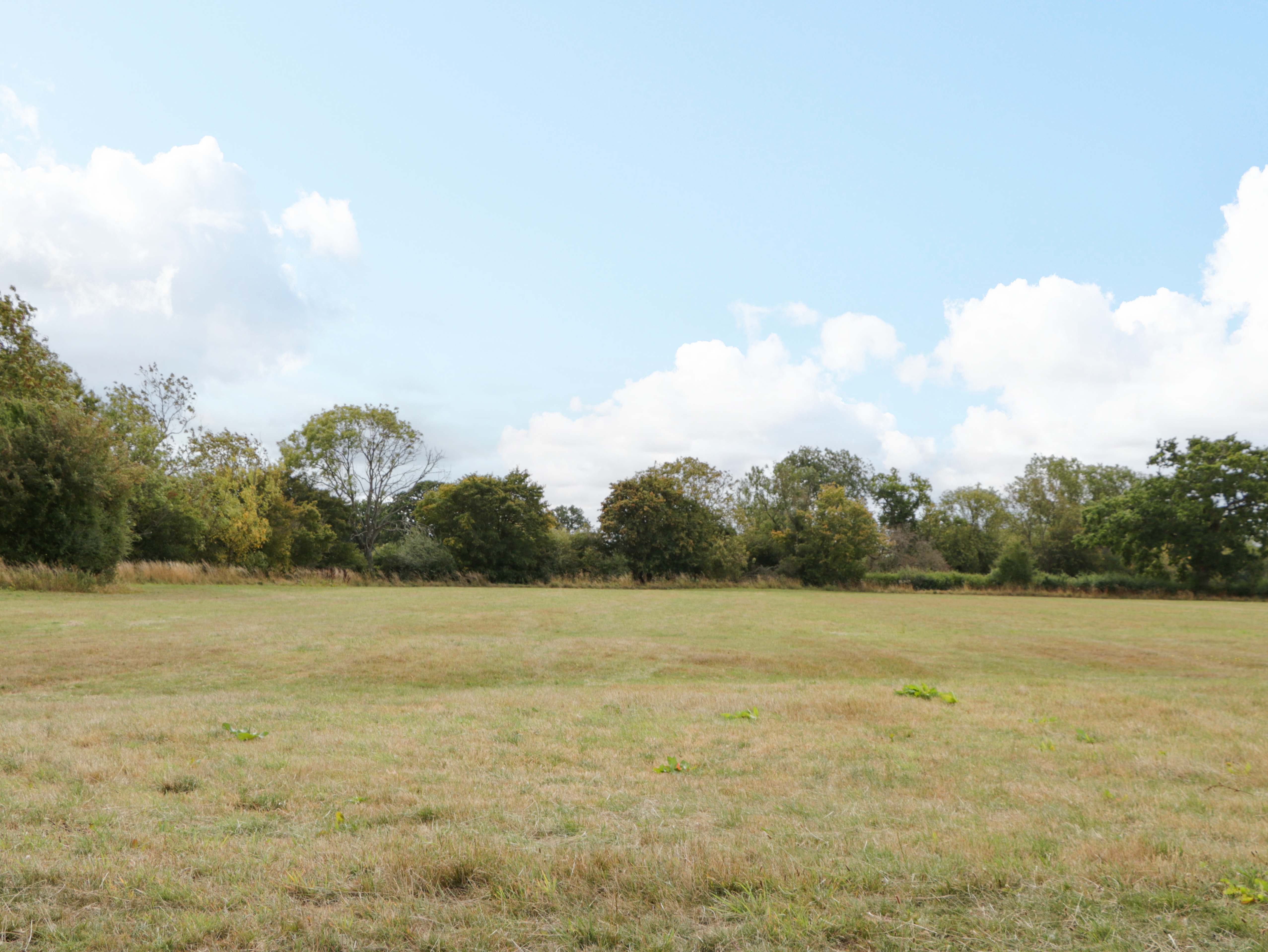 Property image 31 for SC1178947