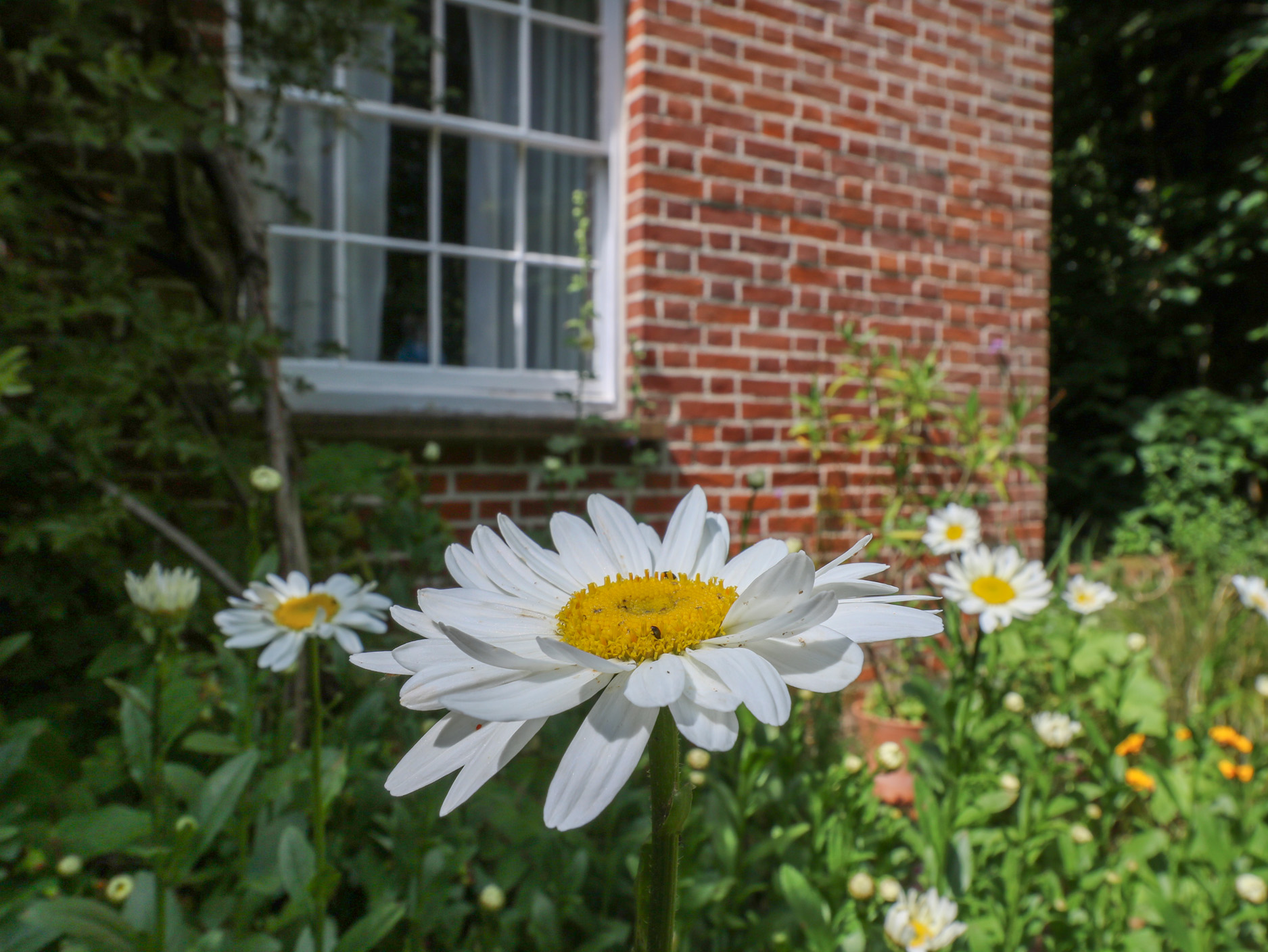 Property image 26 for SC1178953