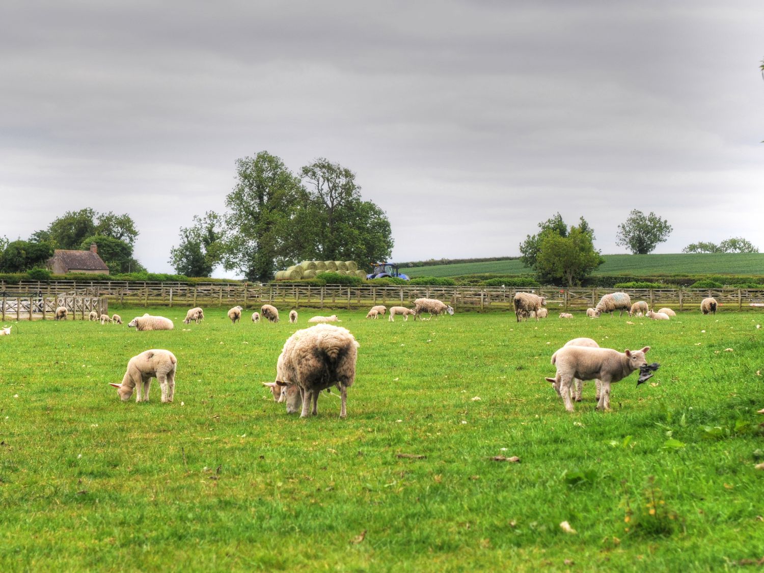 Property image 68 for SC1179009