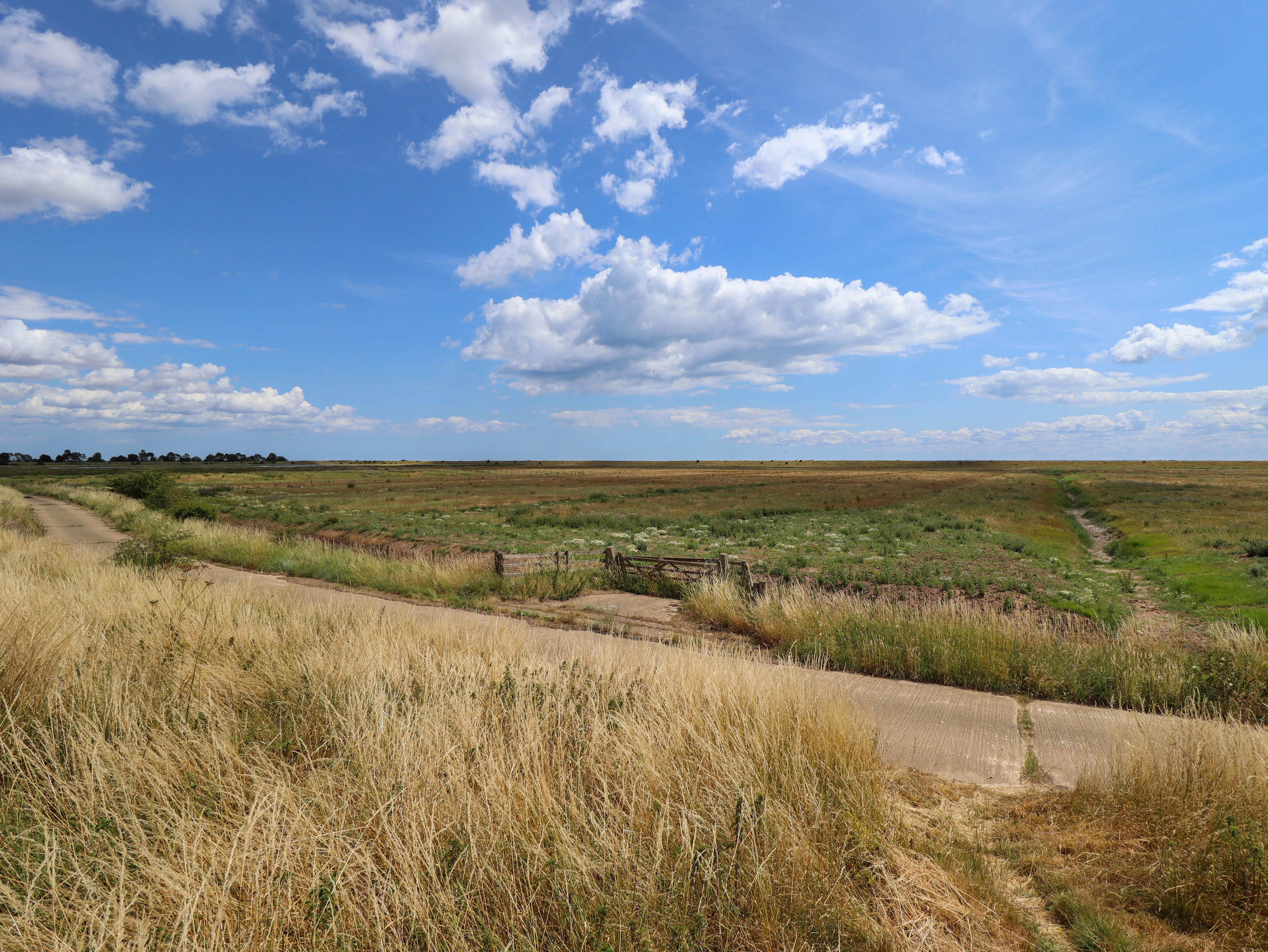 Property image 25 for SC1179317