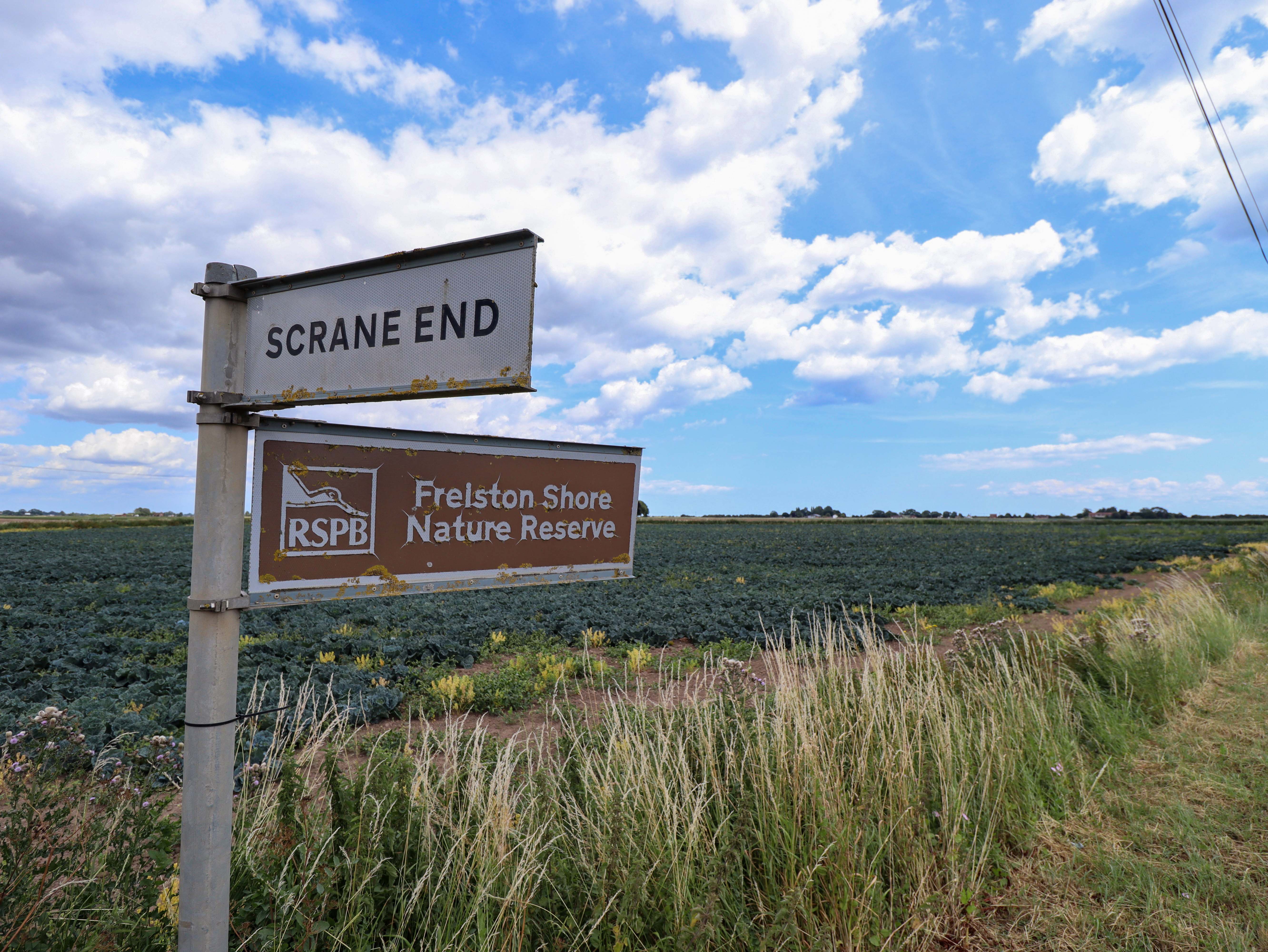 Property image 26 for SC1179317