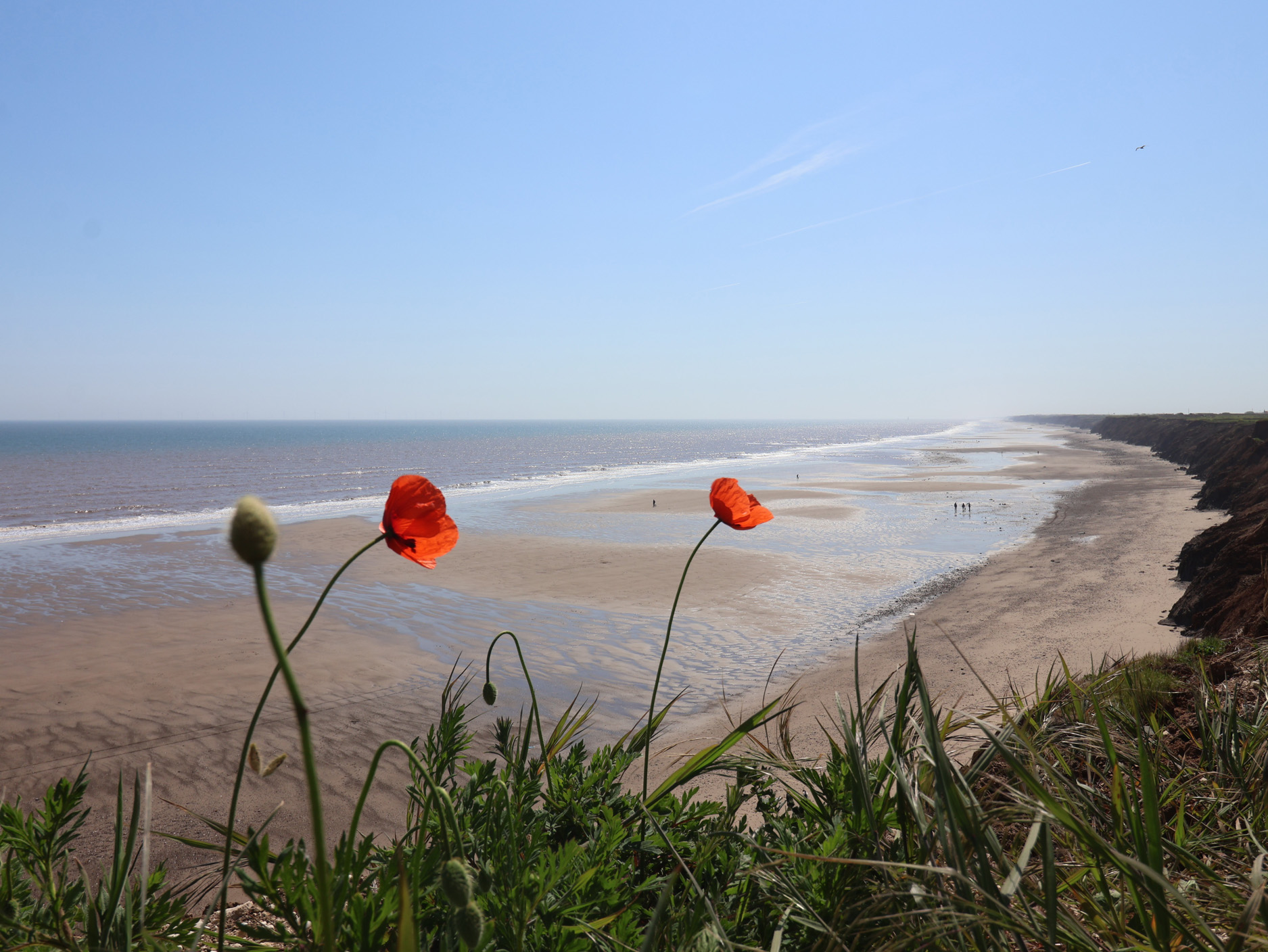 Property image 23 for SC1181778