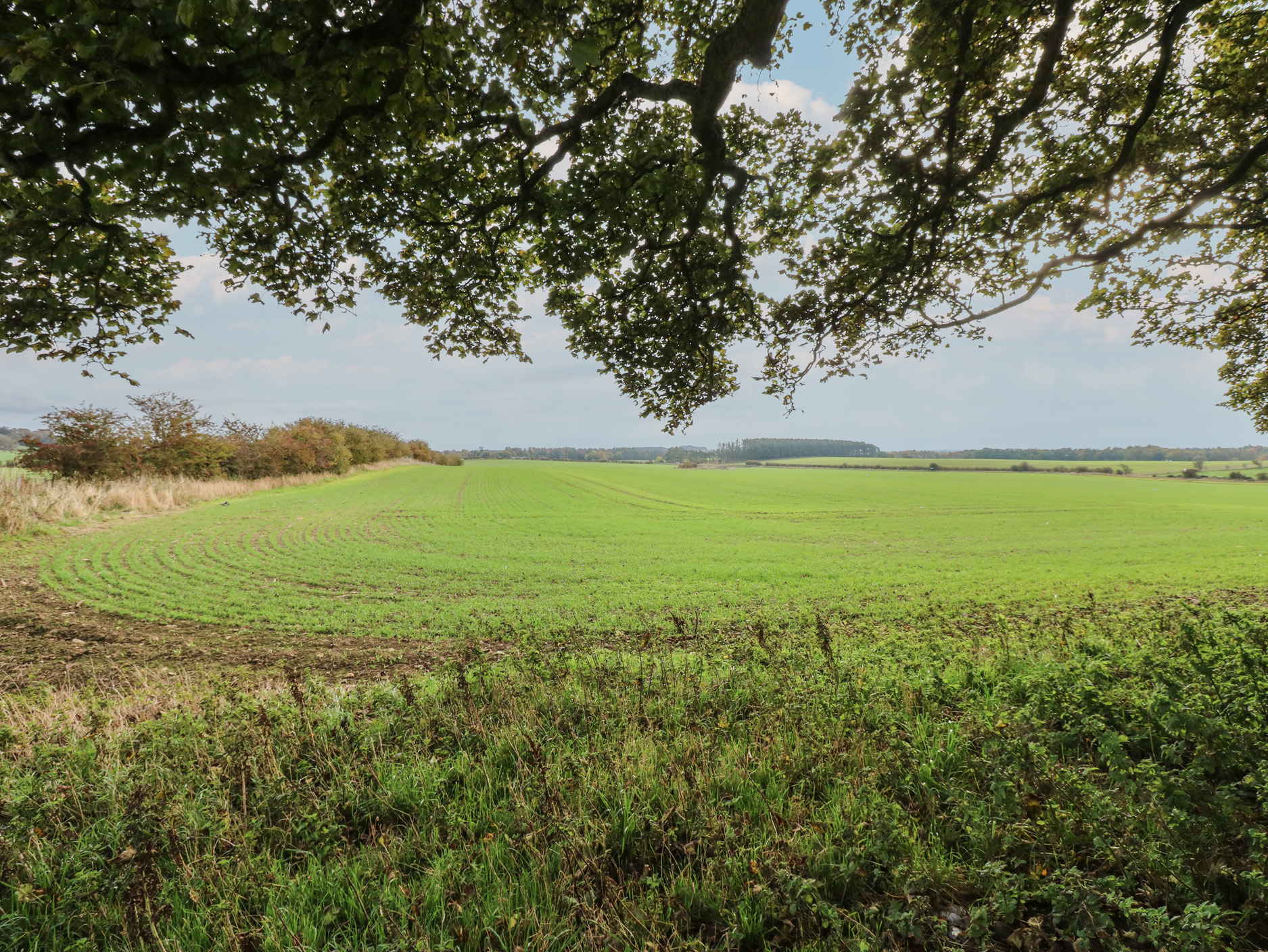 Property image 20 for SC1182297