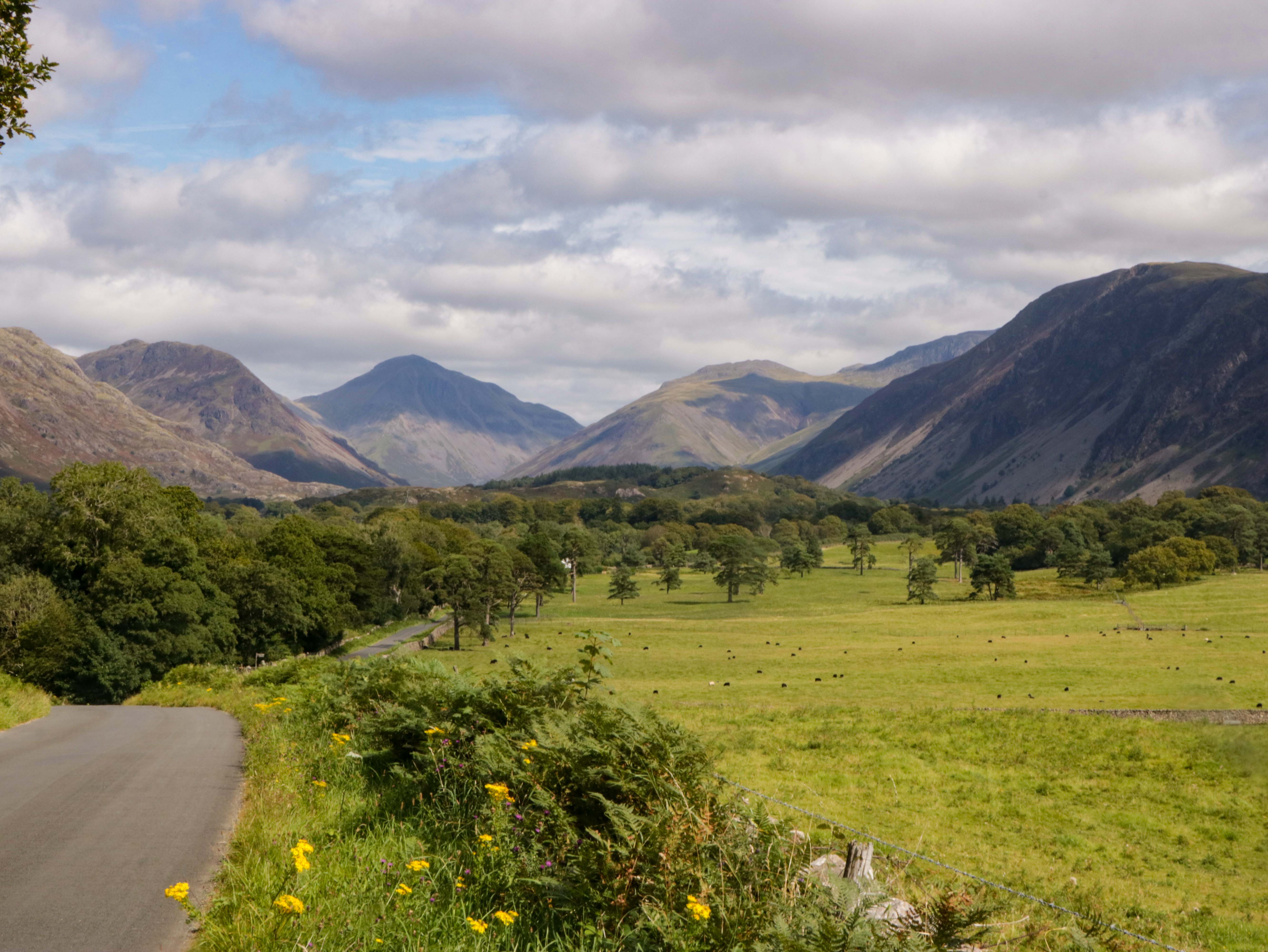 Property image 33 for SC1182469