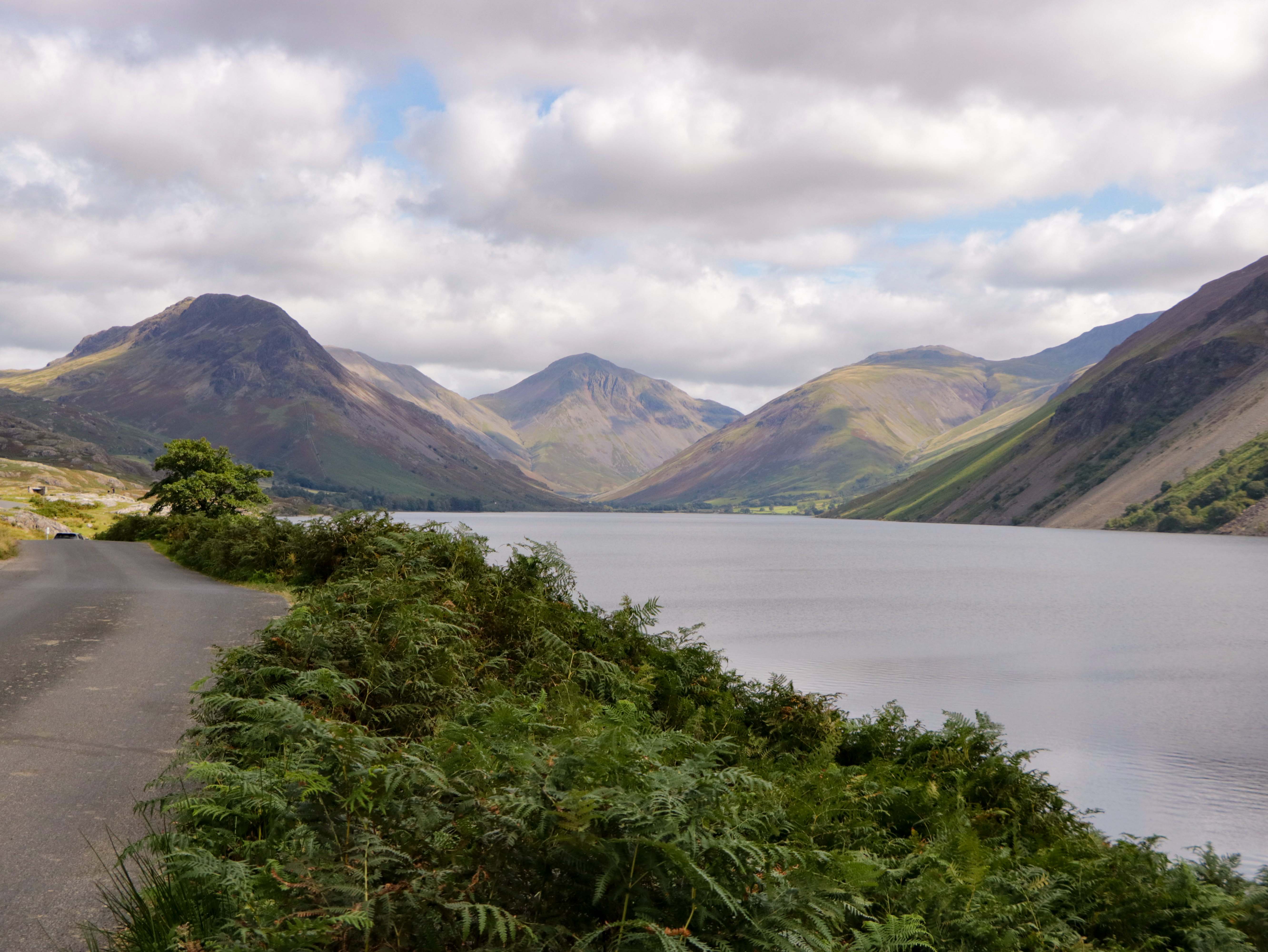 Property image 36 for SC1182469