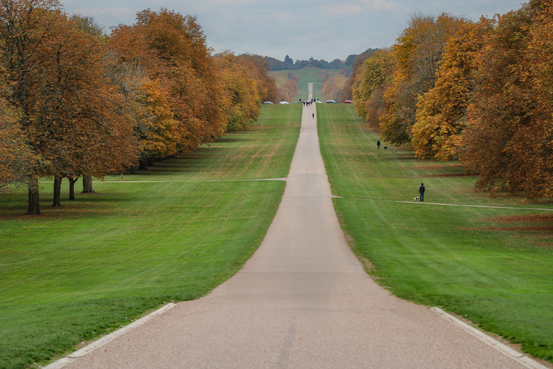 Property image 49 for SC1182697