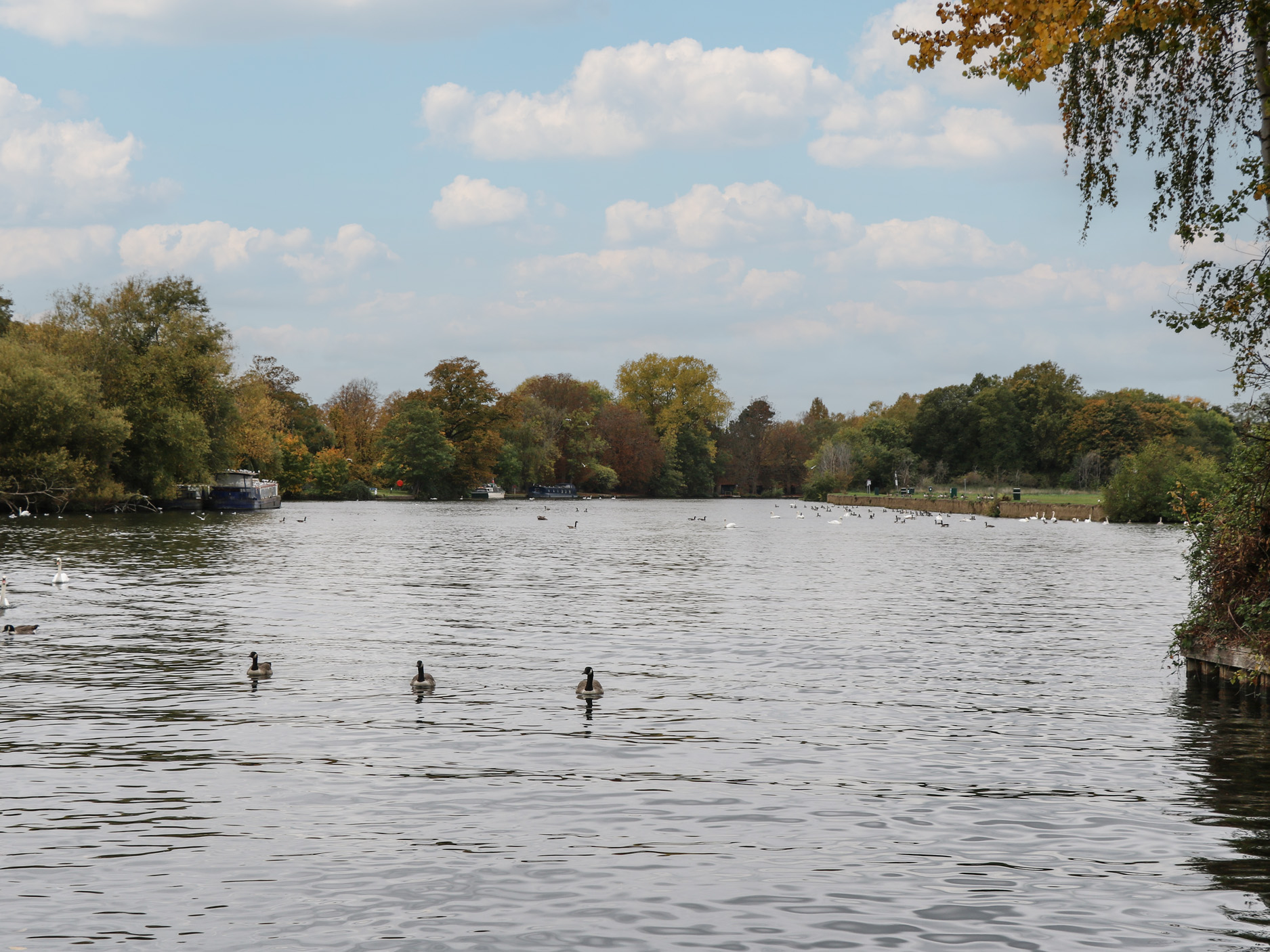 Property image 61 for SC1182697