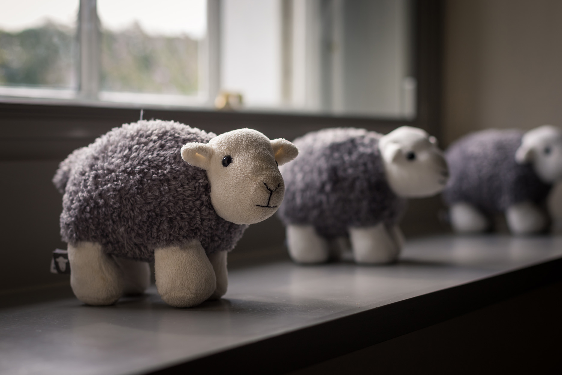 Property image 19 for SC1182827