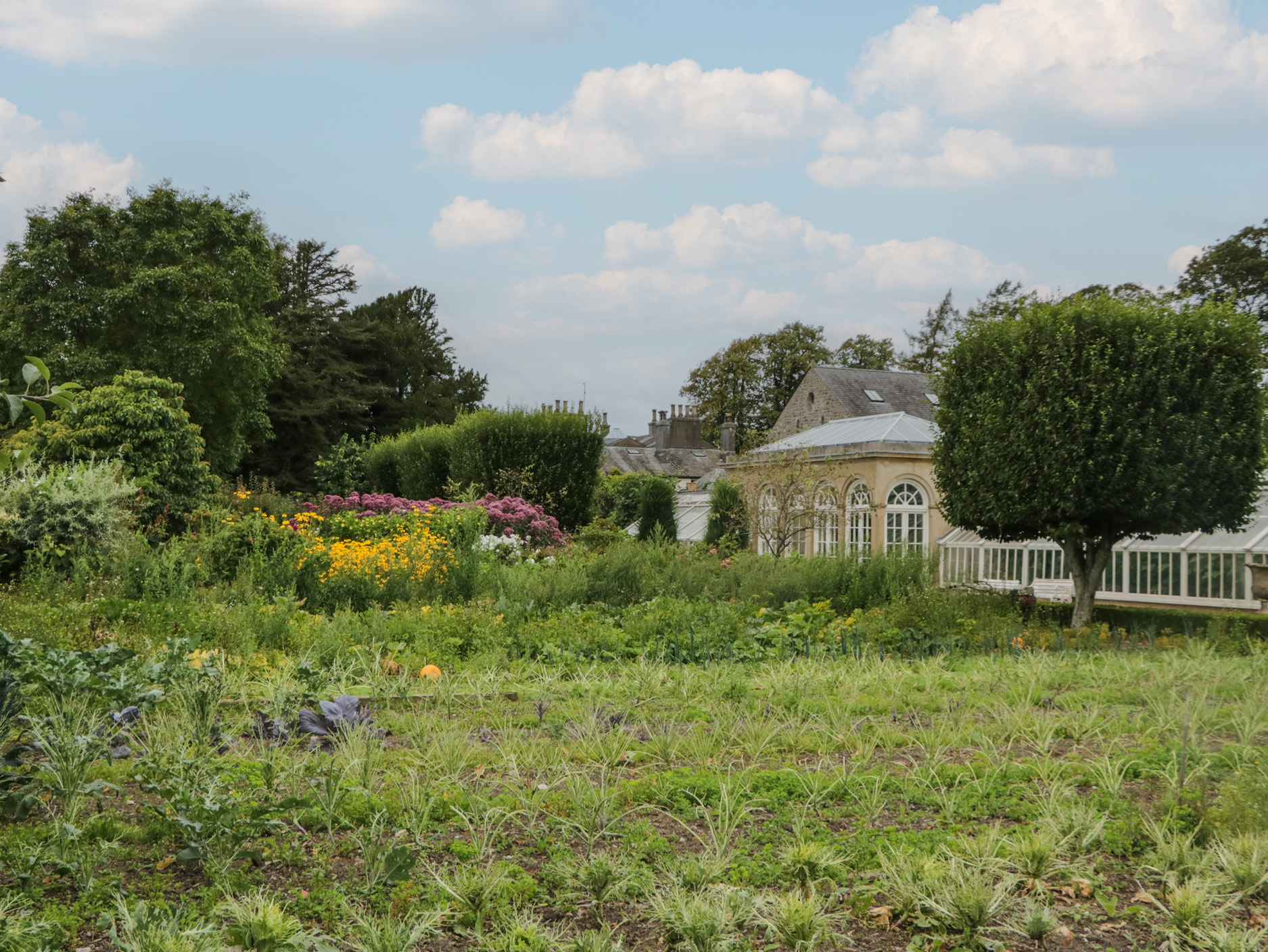 Property image 31 for SC1183047