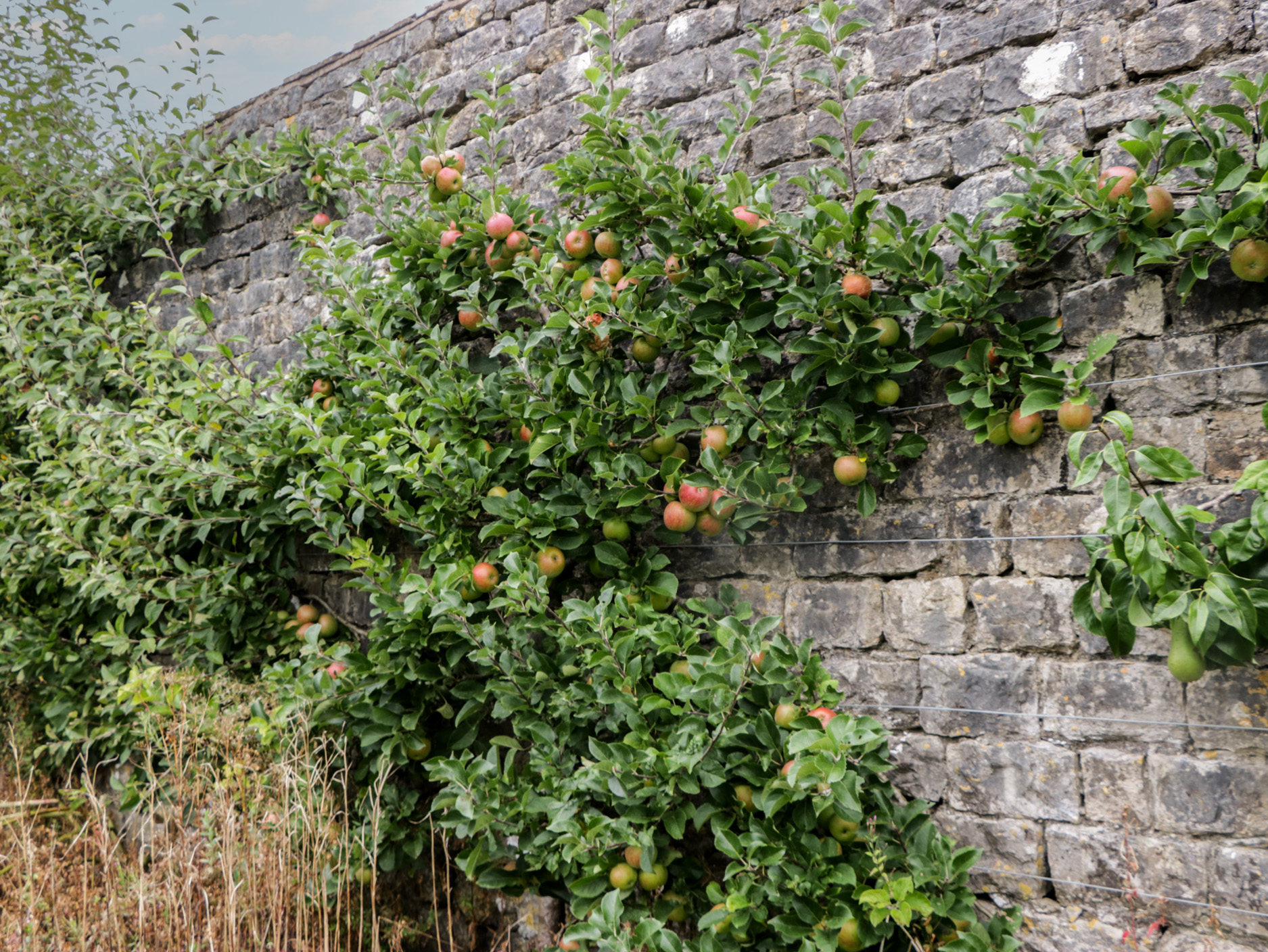 Property image 32 for SC1183047