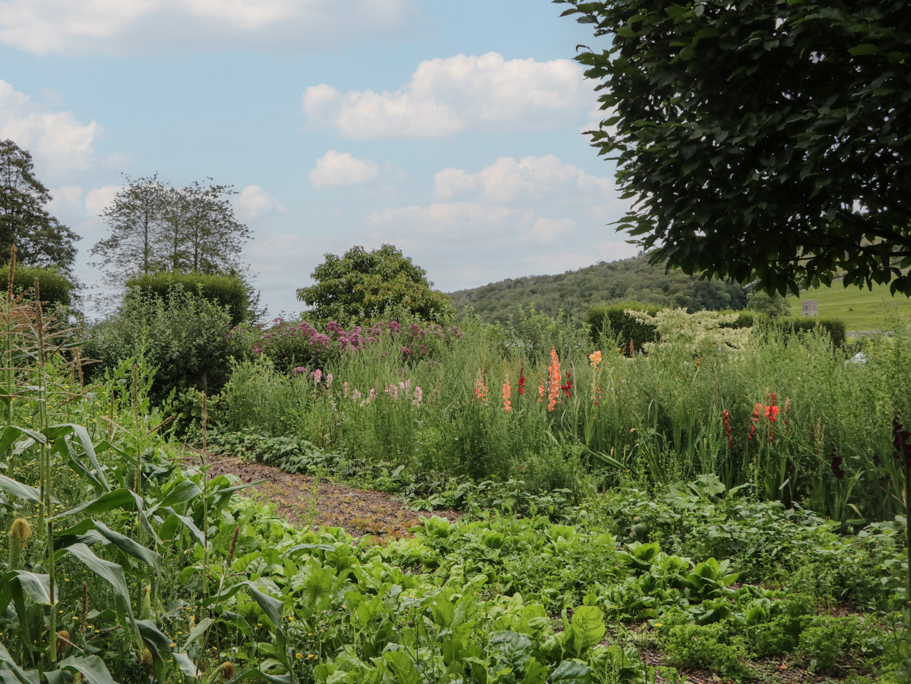 Property image 35 for SC1183047