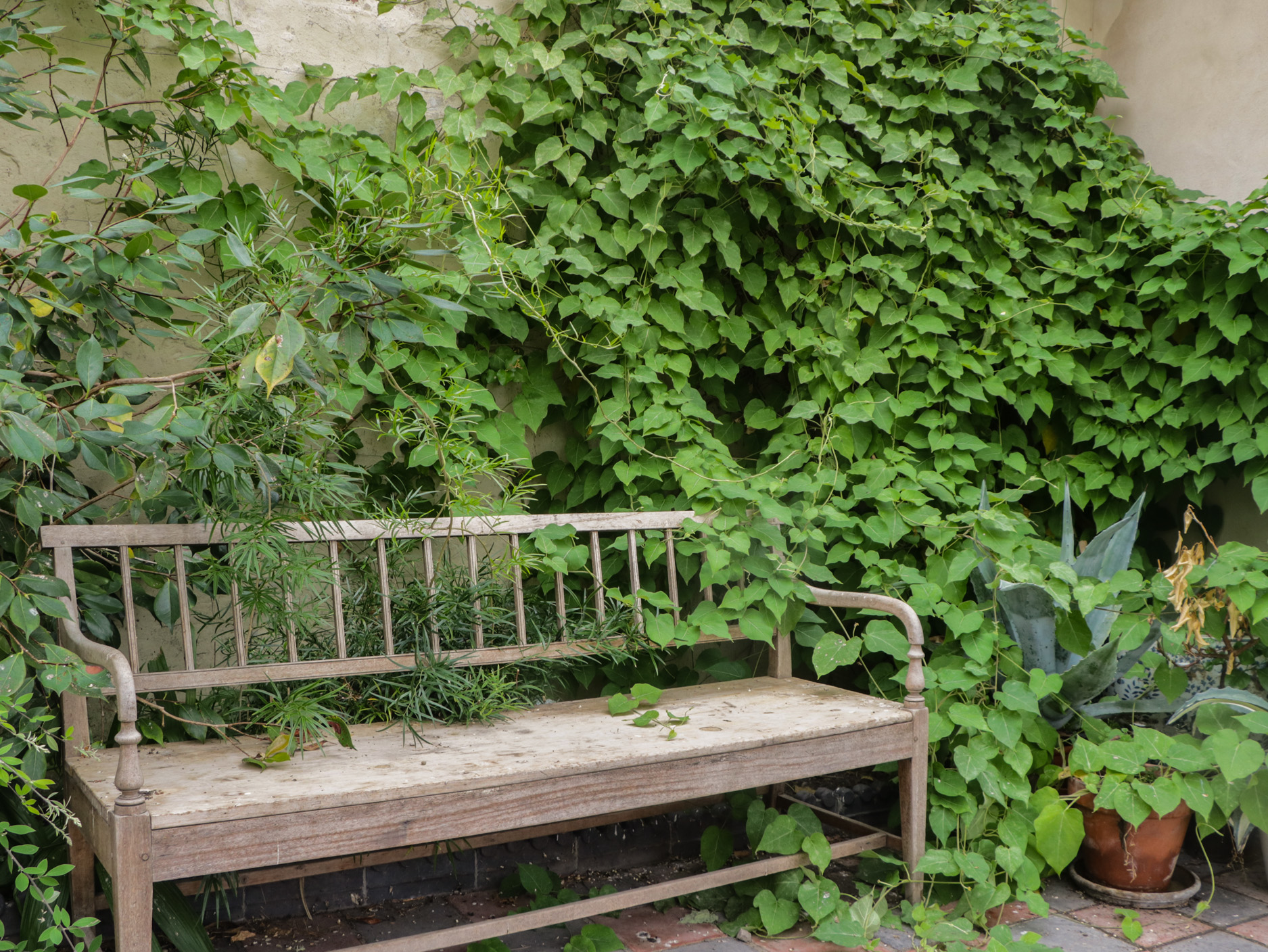 Property image 39 for SC1183047