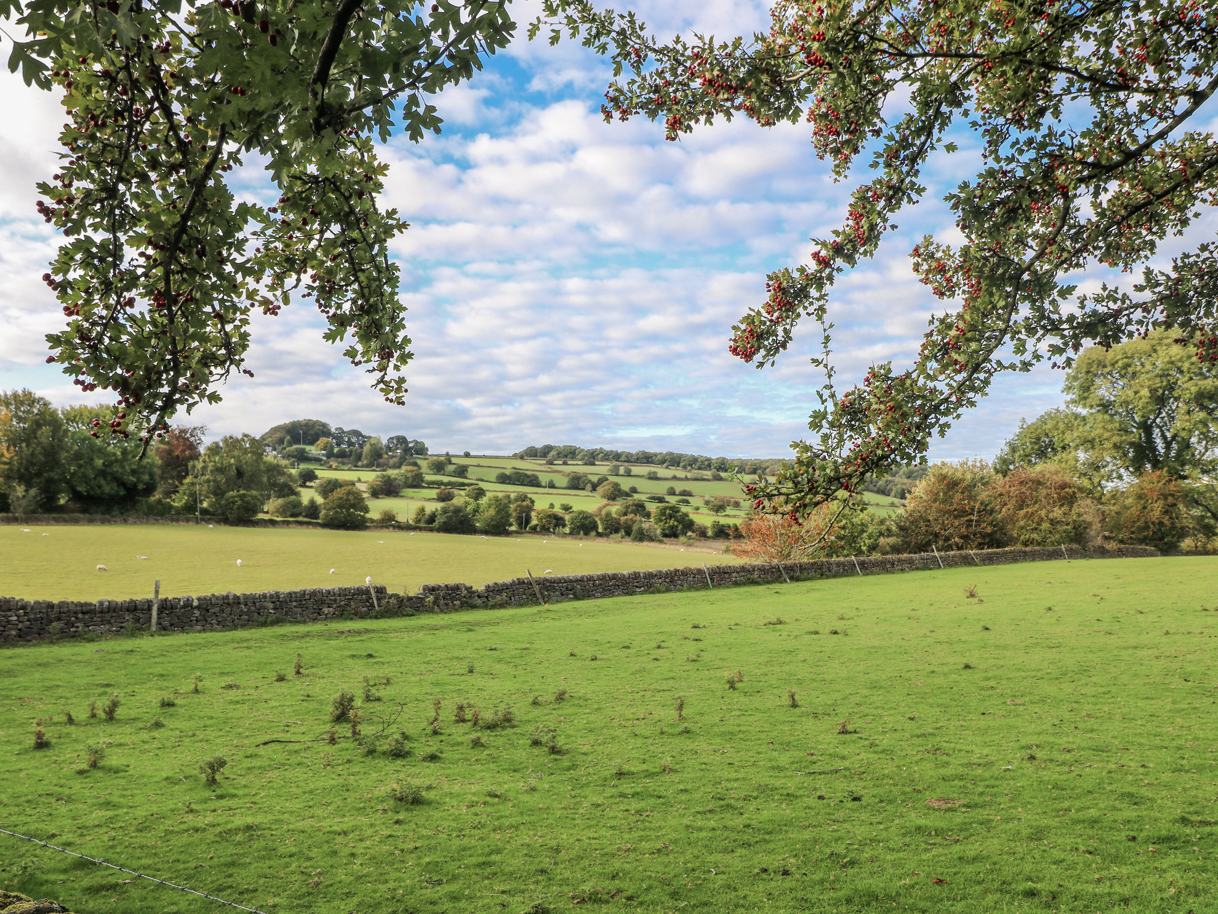 Property image 15 for SC1183087