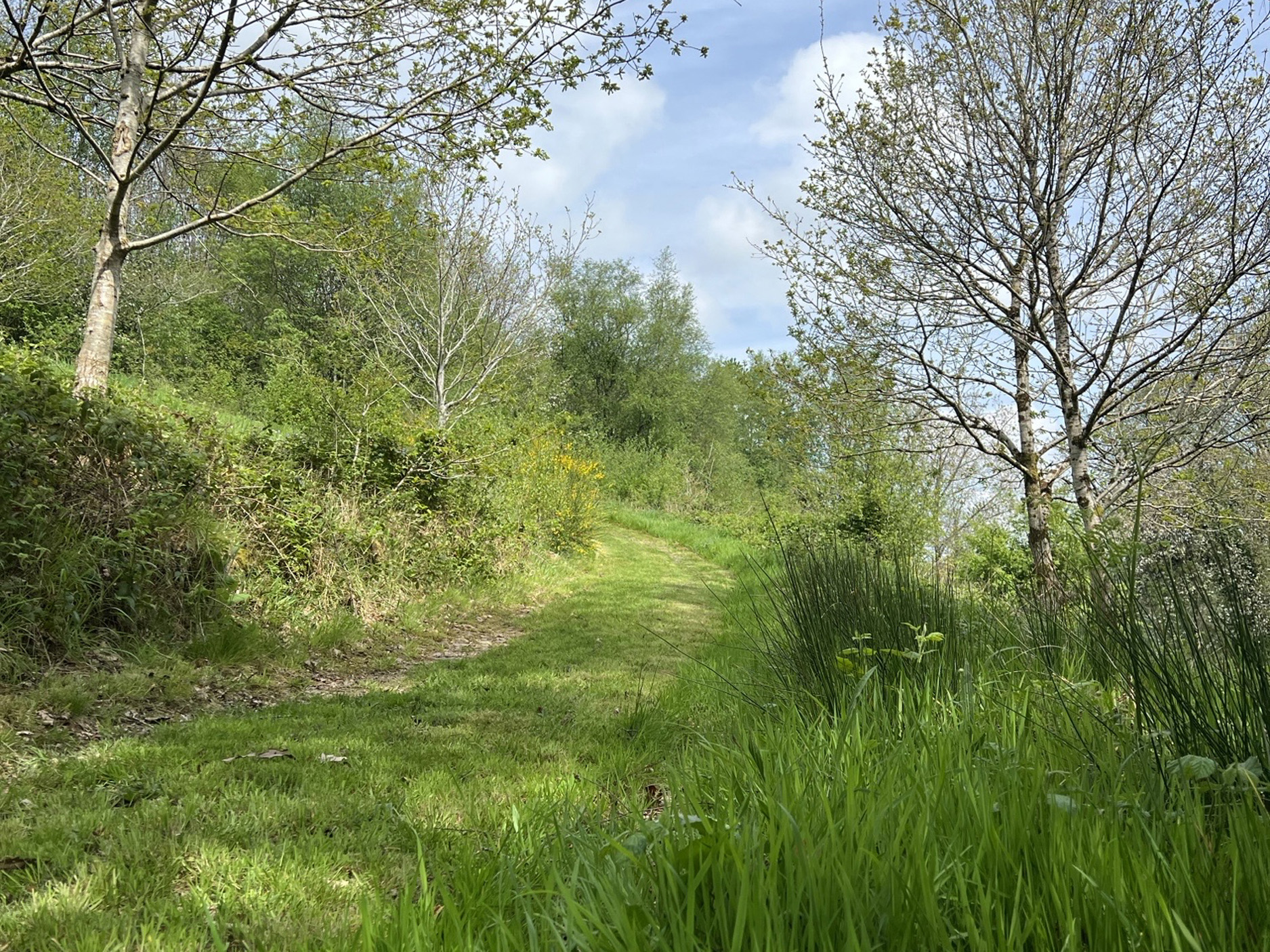 Property image 22 for SC1183161