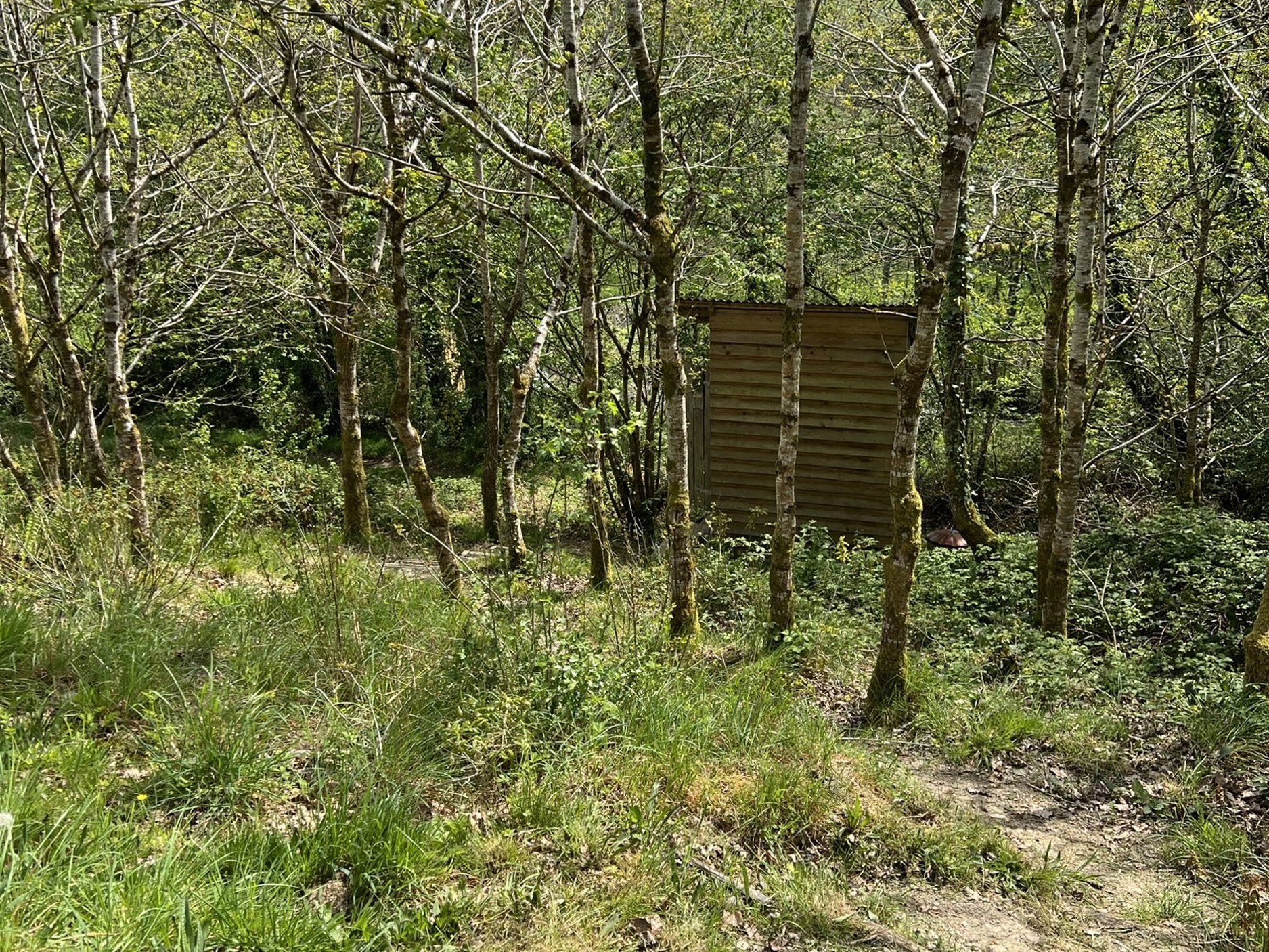 Property image 28 for SC1183161