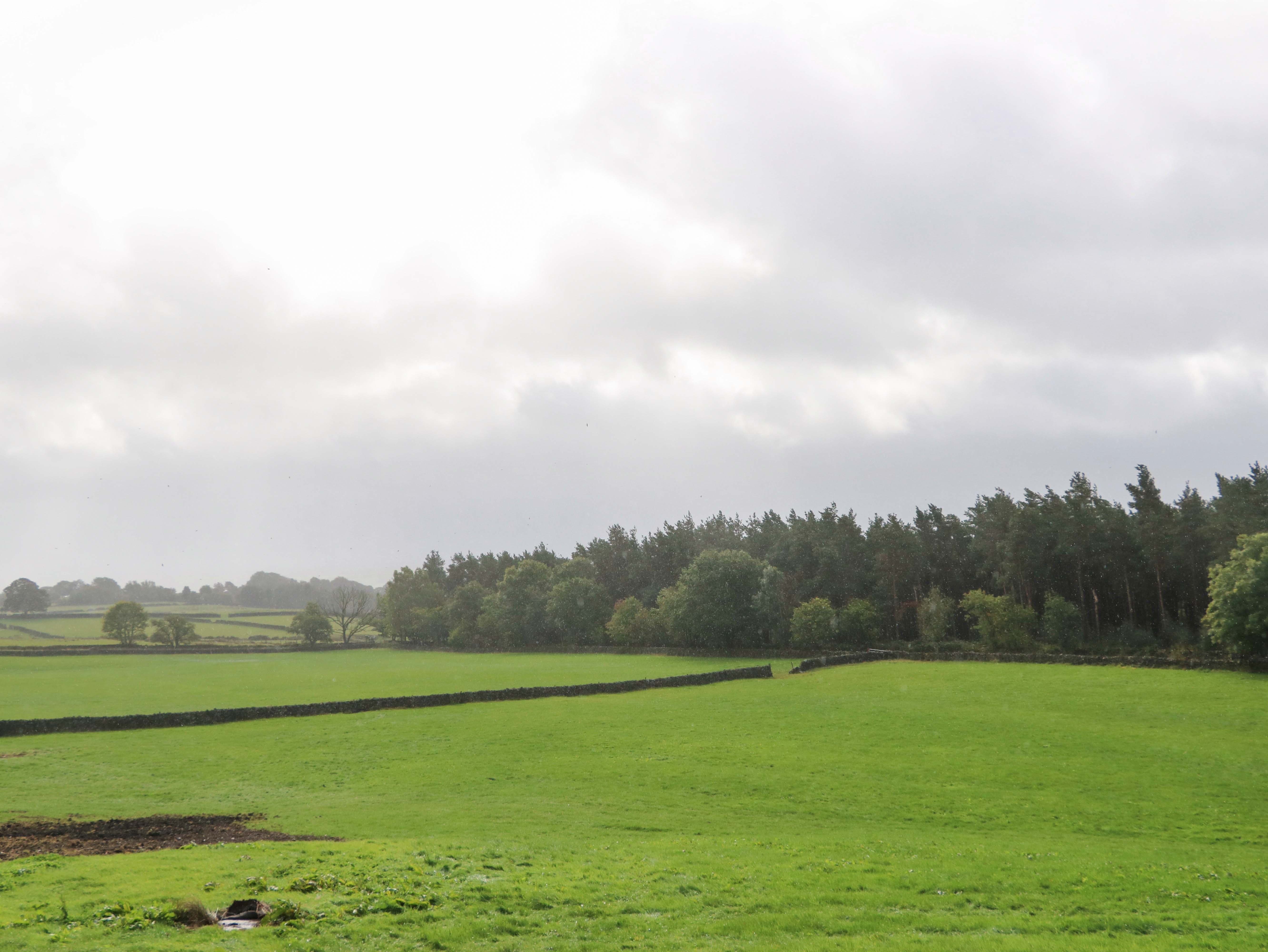 Property image 29 for SC1183356