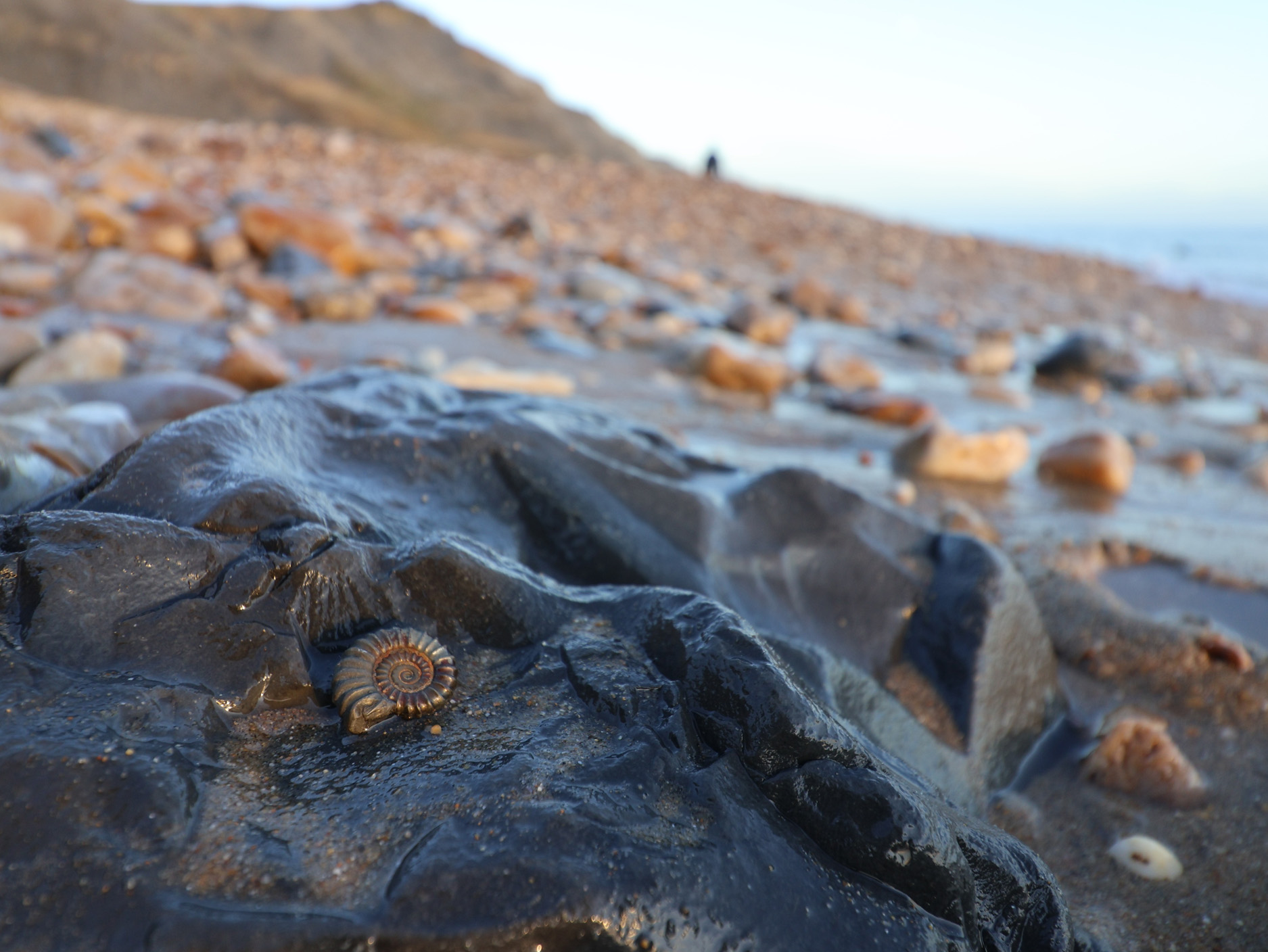 Property image 19 for SC1183449