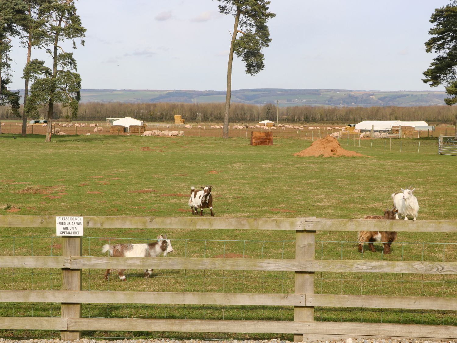 Property image 14 for SC1183458