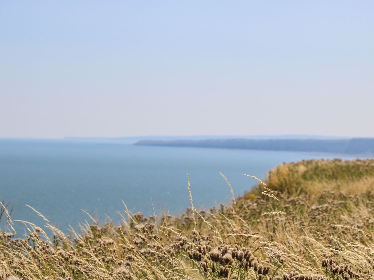 Property image 29 for SC1183459