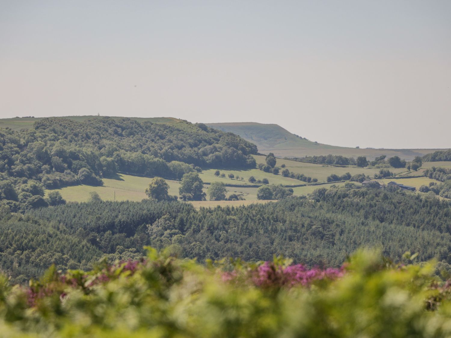 Property image 30 for SC1183459