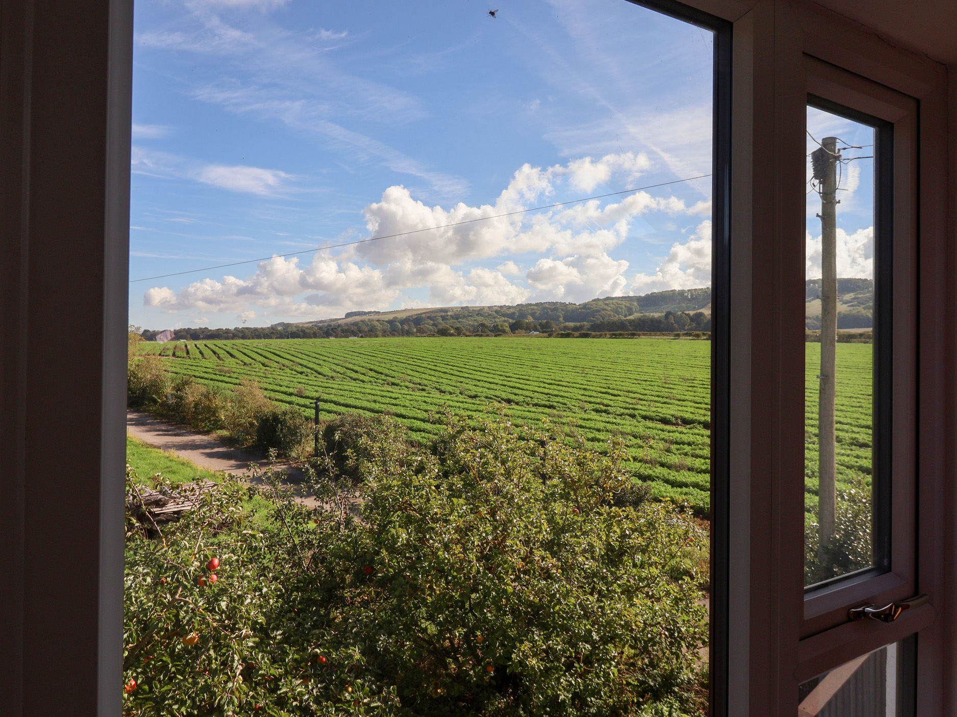 Property image 16 for SC1183459