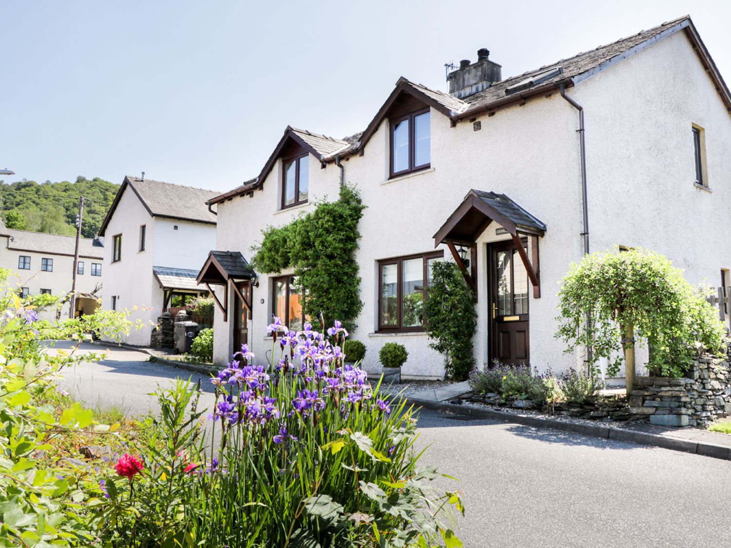 Dolly Blue,Cumbria
