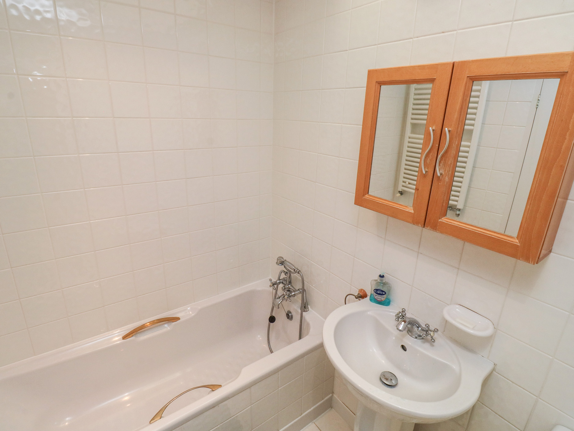 Snowy Owl View at The Breakwater