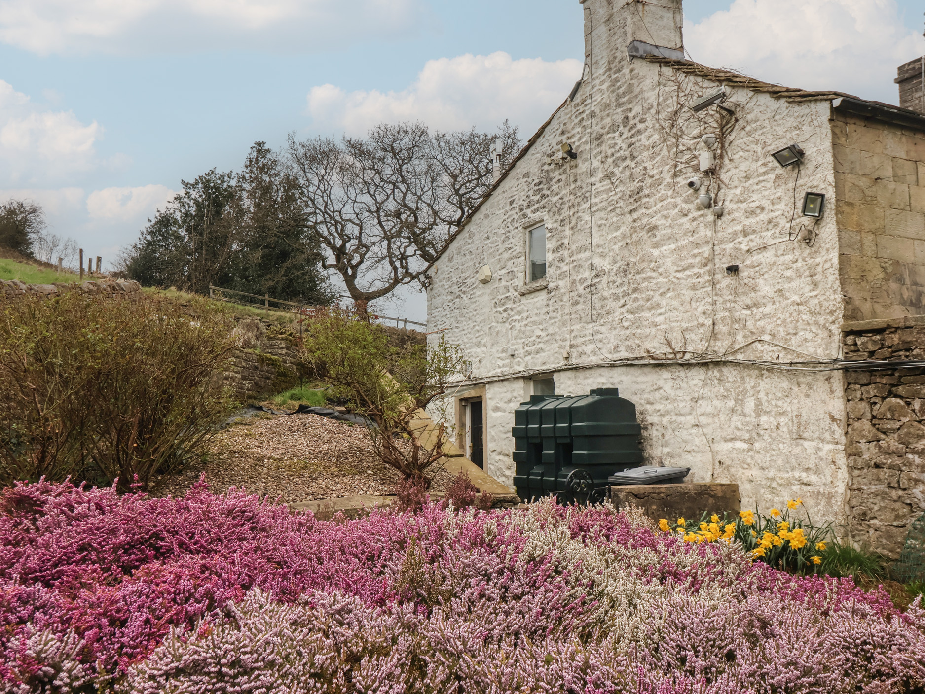 Property image 4 for SC1184137