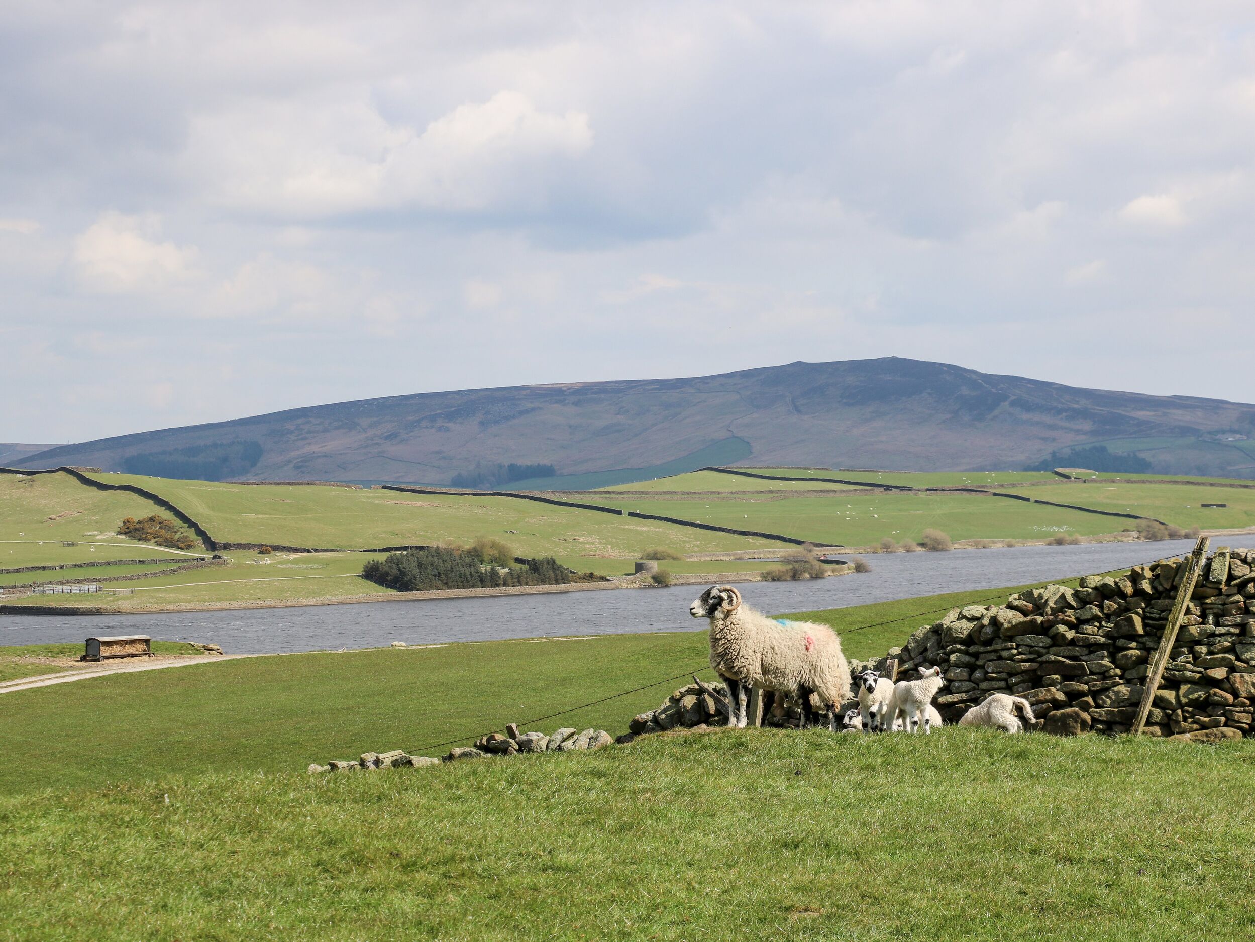 Property image 7 for SC1184137
