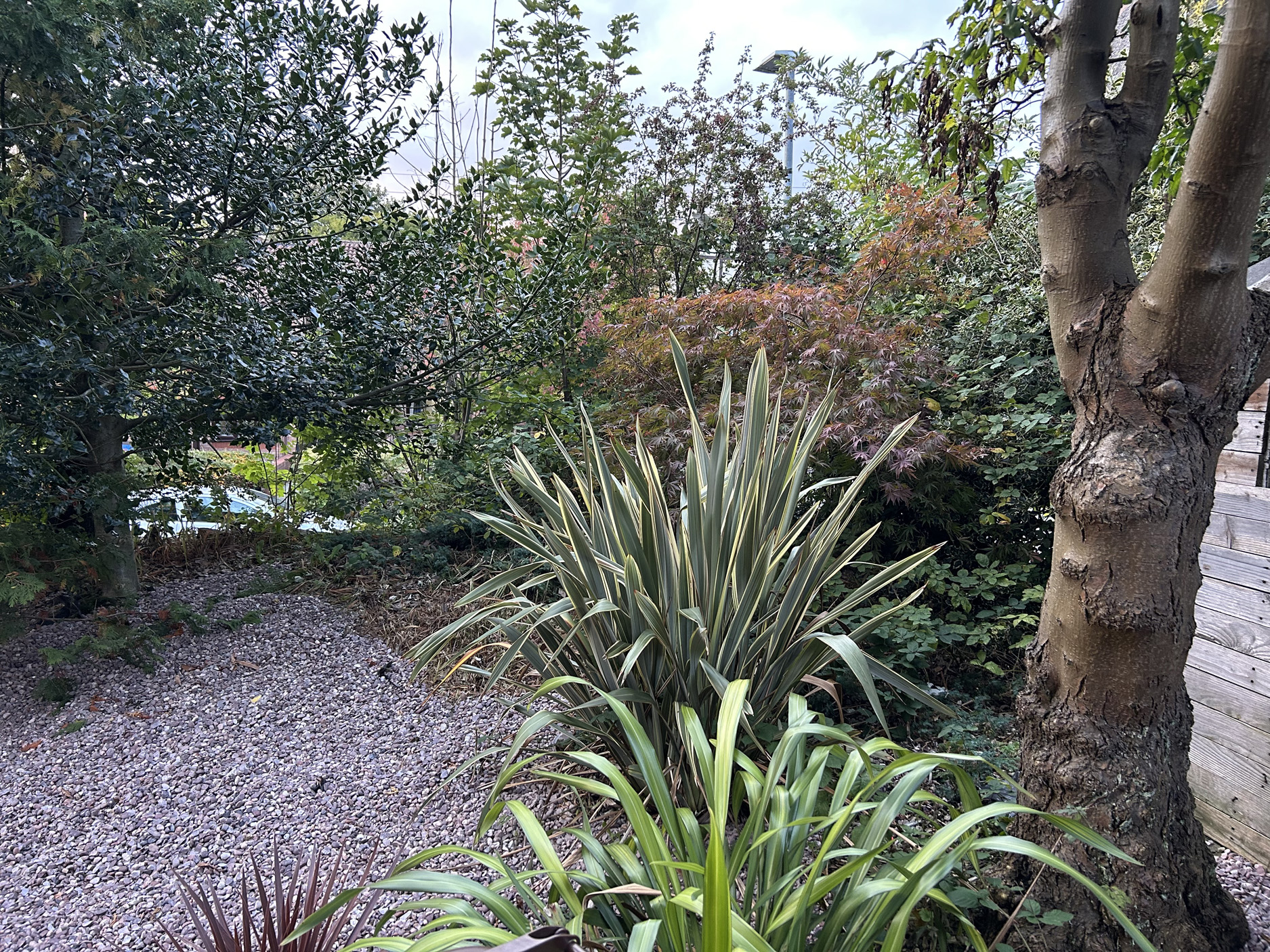 Property image 48 for SC1184141