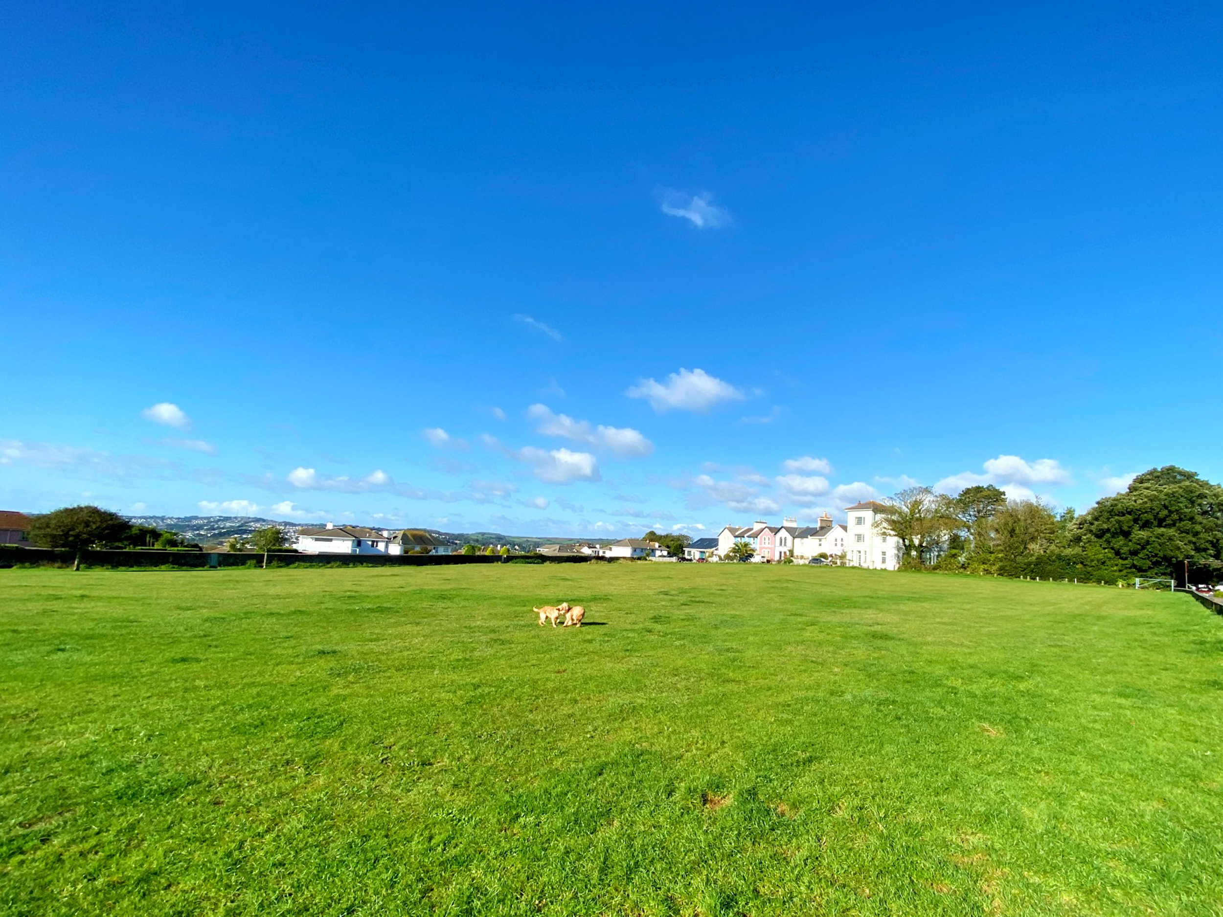 Property image 14 for SC1184229