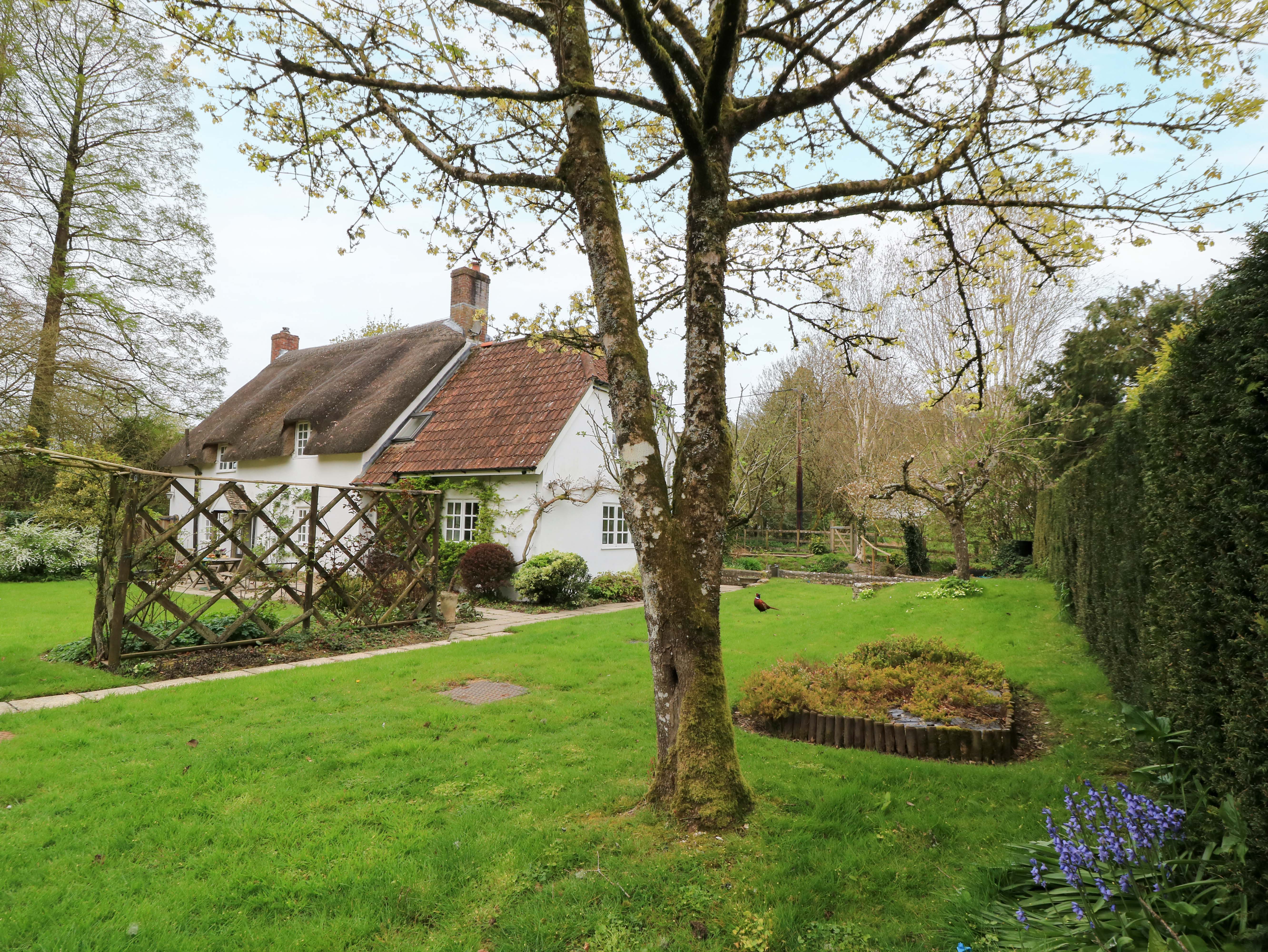Property image 23 for SC1184354