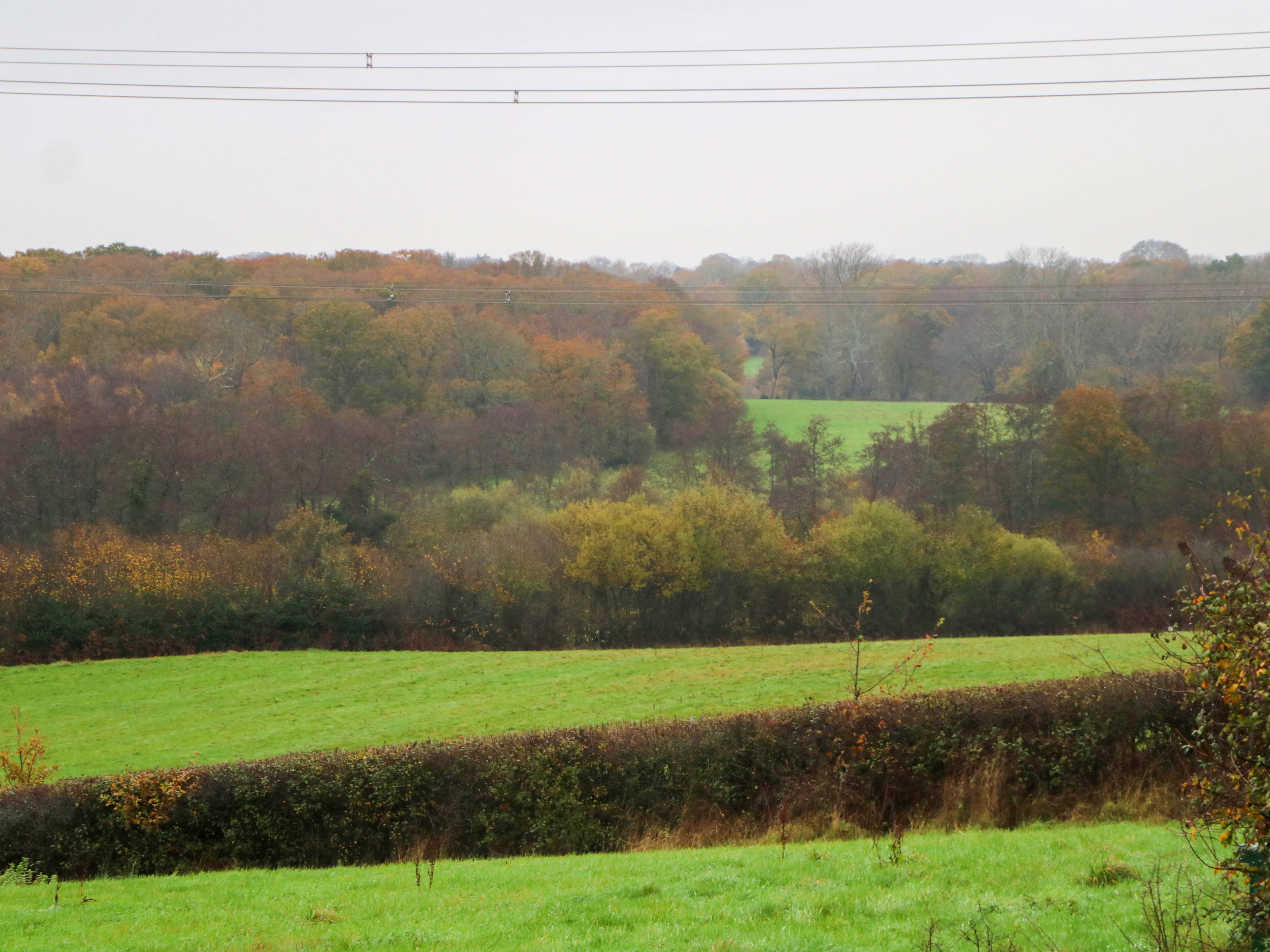Property image 12 for SC1184381