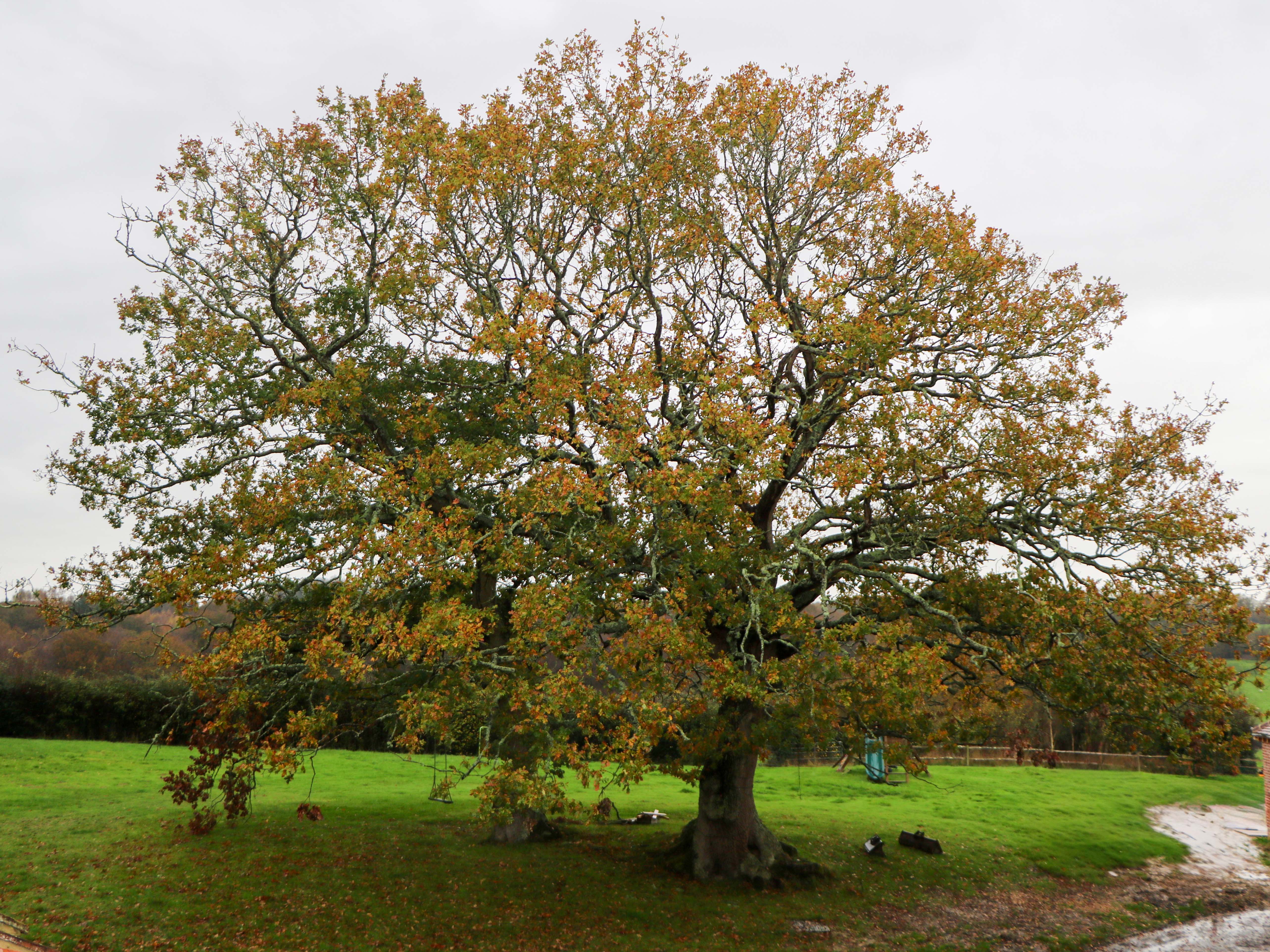 Property image 13 for SC1184381