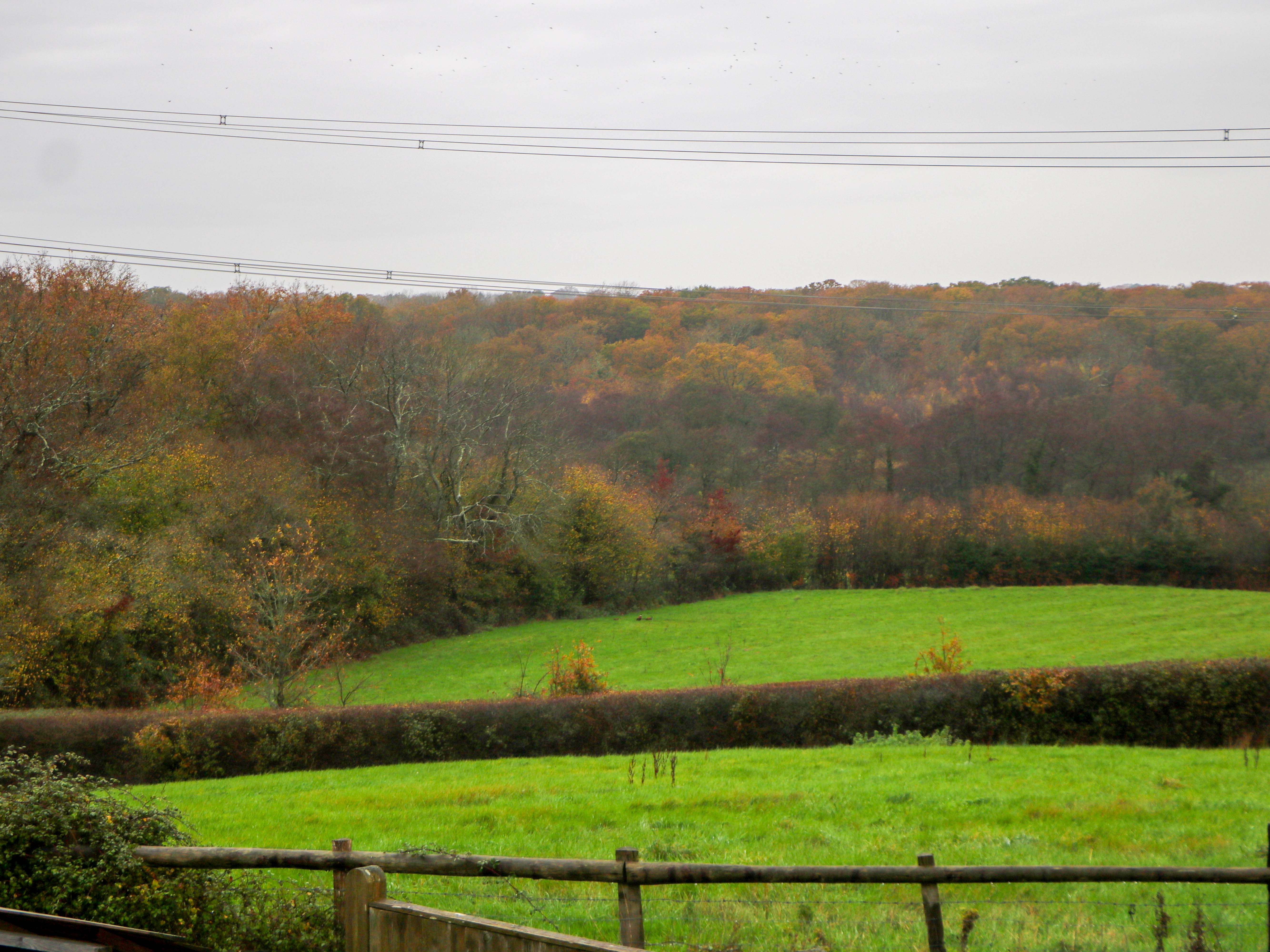 Property image 15 for SC1184381