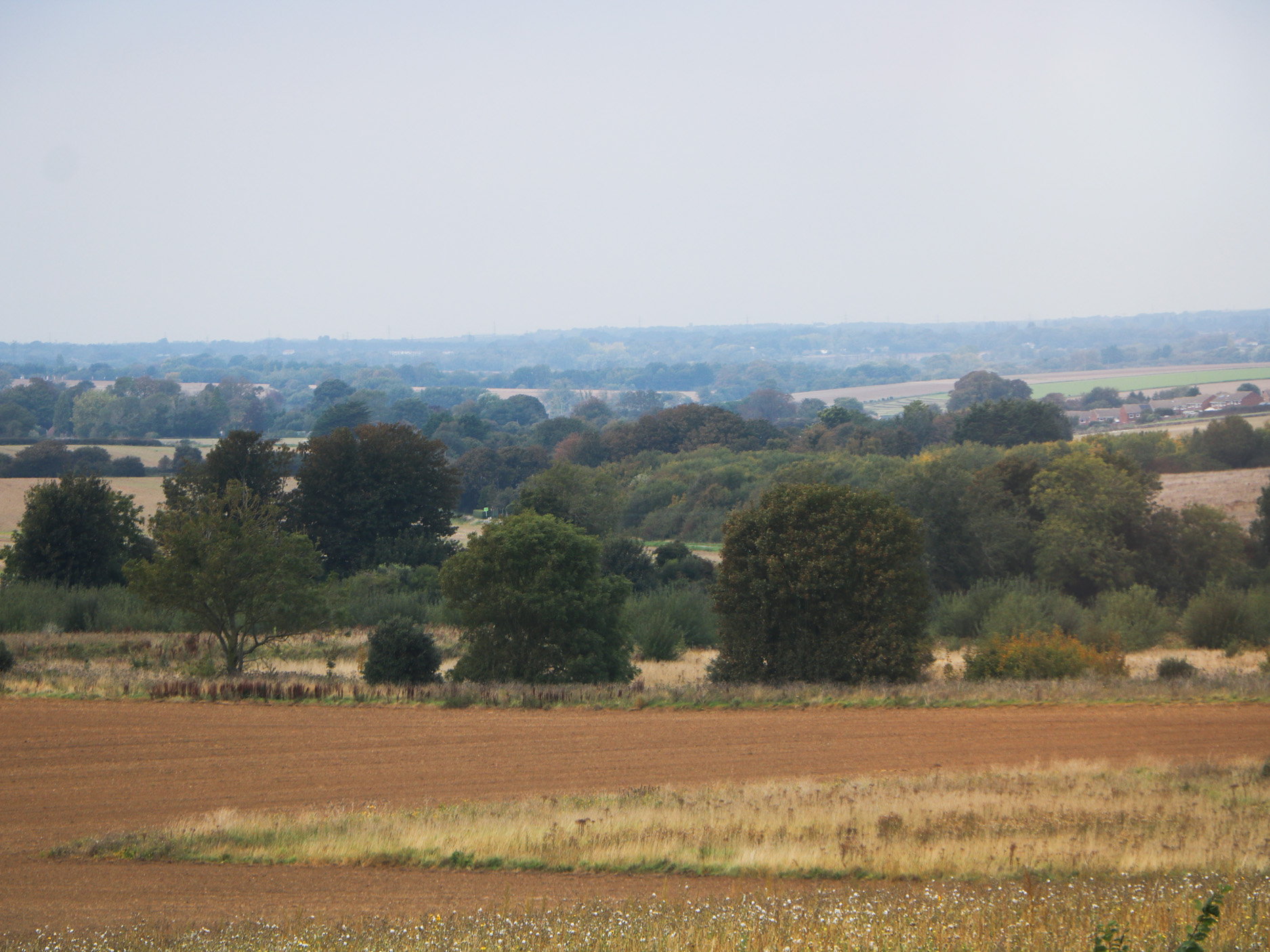 Property image 25 for SC1189815