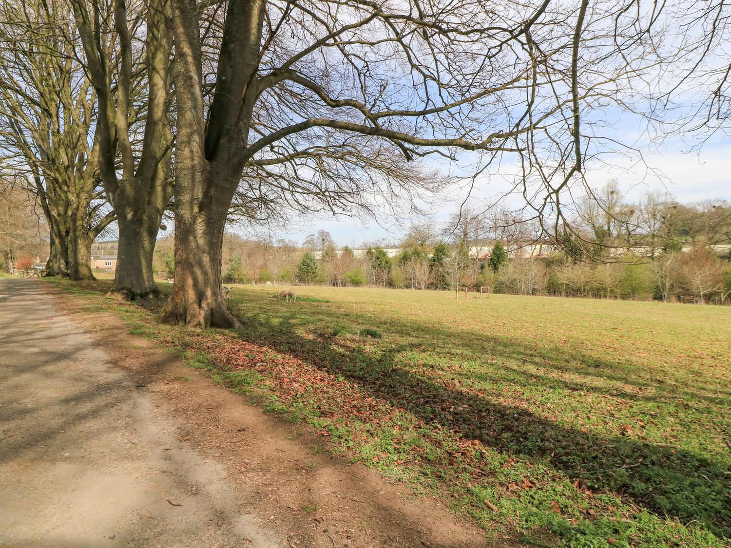 Property image 10 for SC1189949