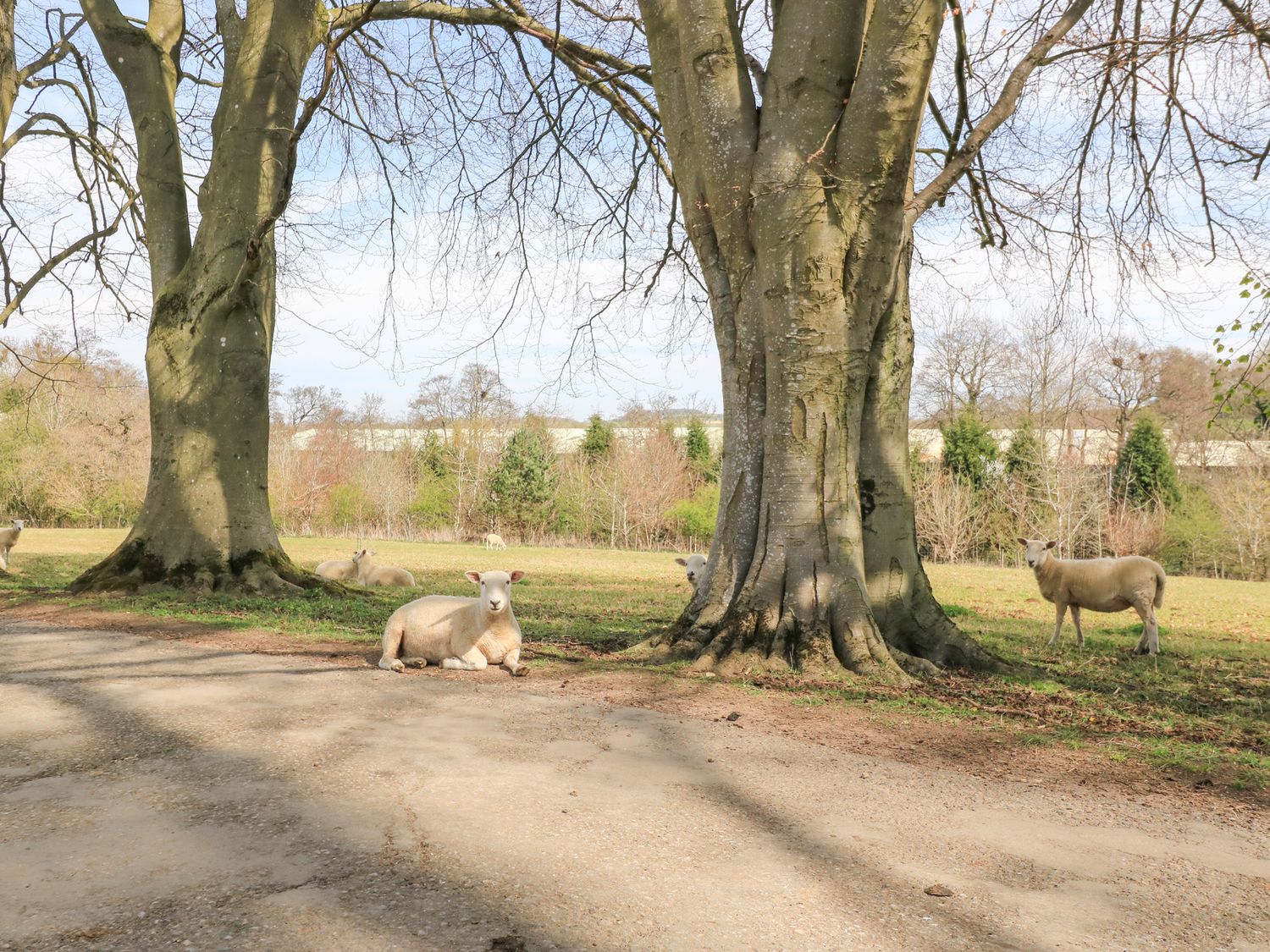 Property image 11 for SC1189949