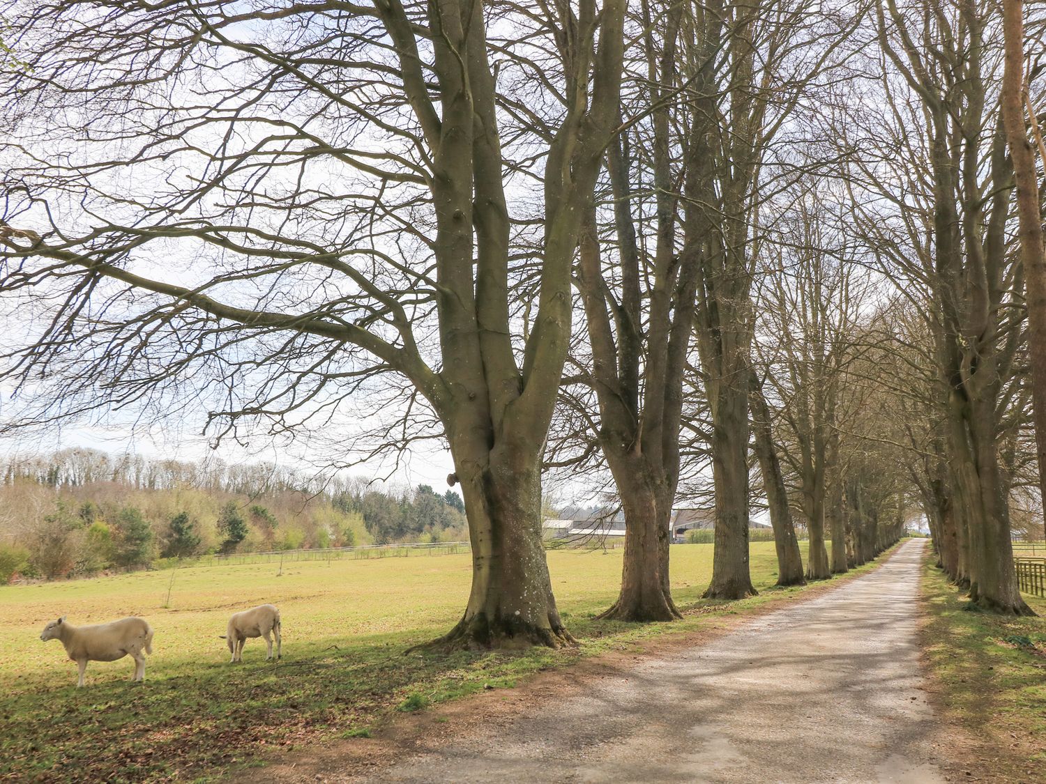 Property image 12 for SC1189949