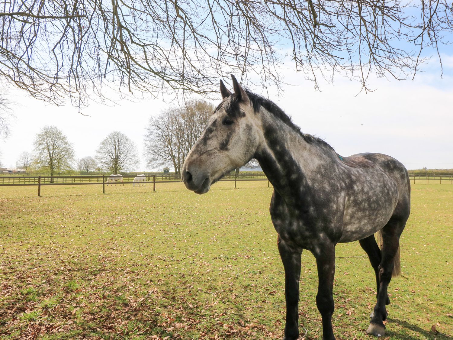 Property image 14 for SC1189949