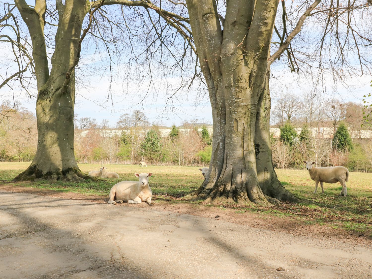 Property image 16 for SC1189950