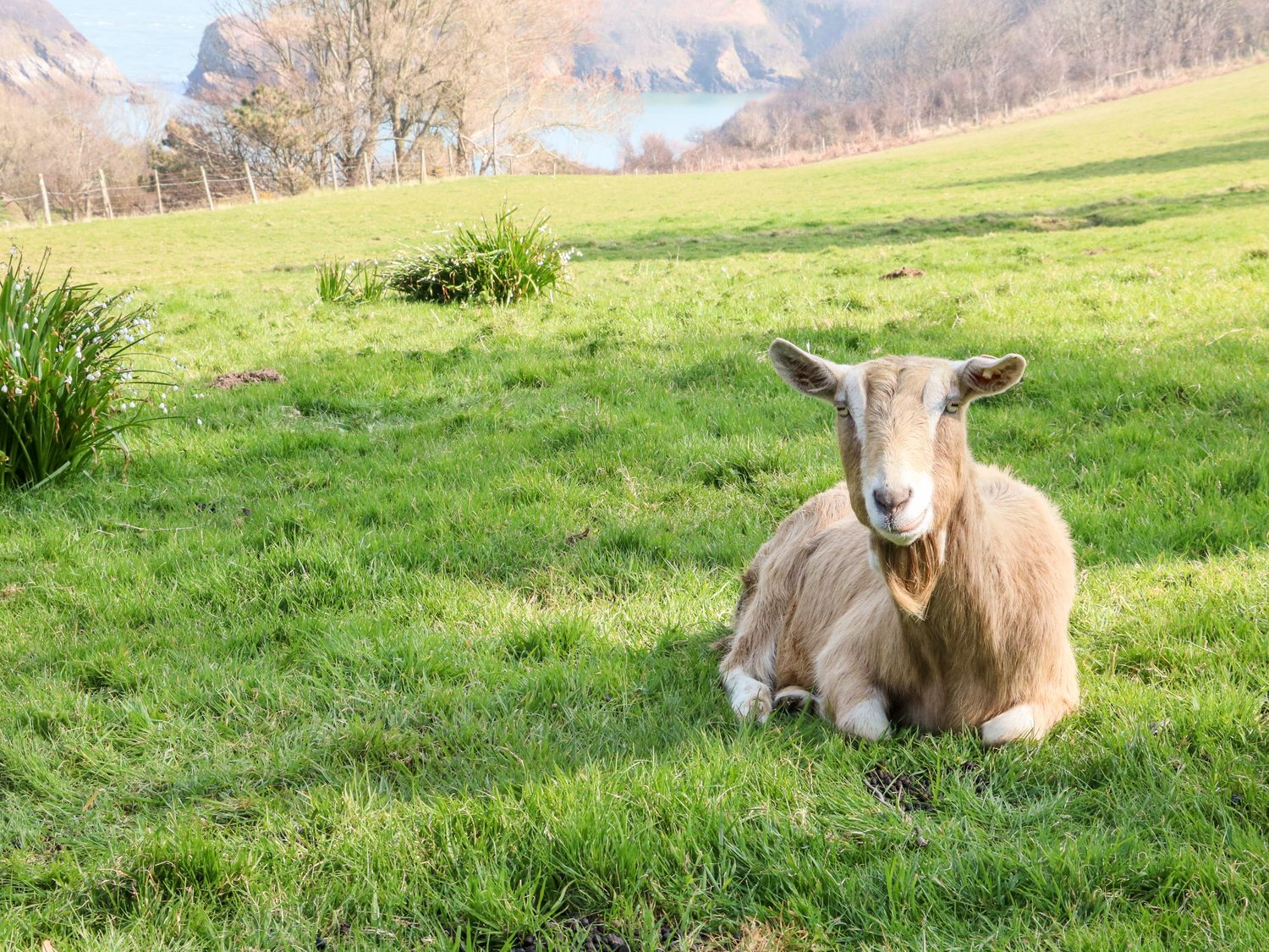 Property image 21 for SC1190128