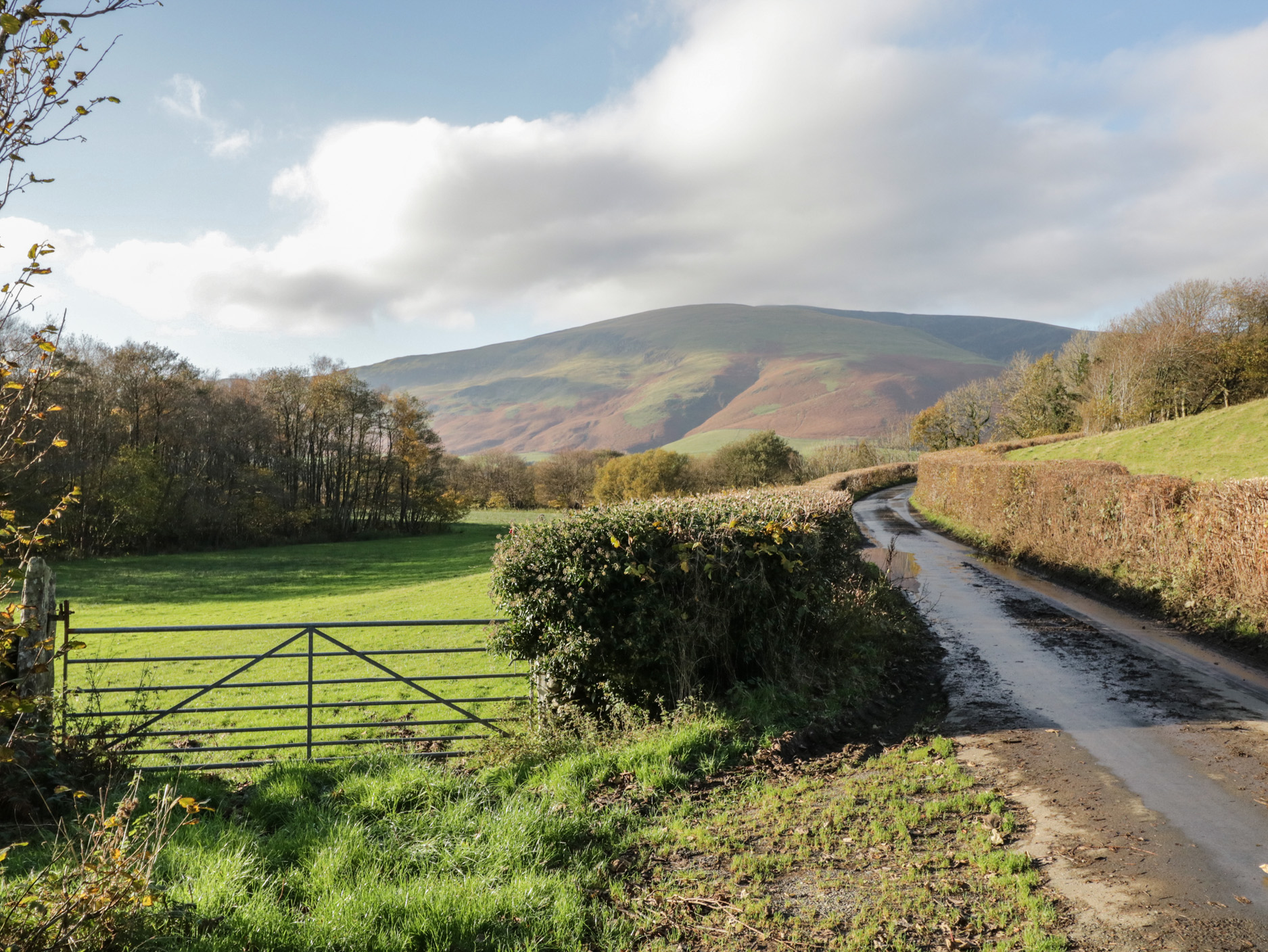 Property image 22 for SC1190166