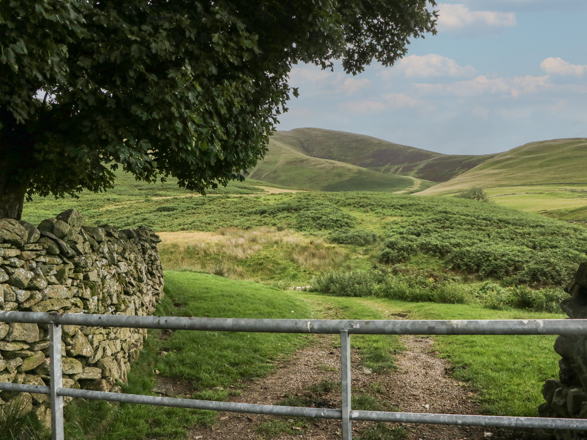 Property image 25 for SC1190166