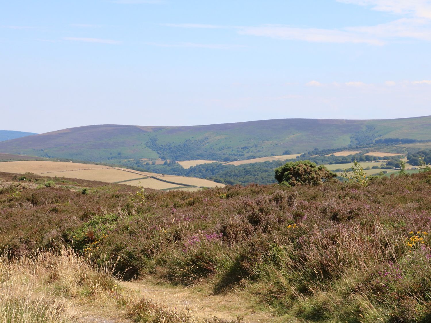 Property image 23 for SC1191379