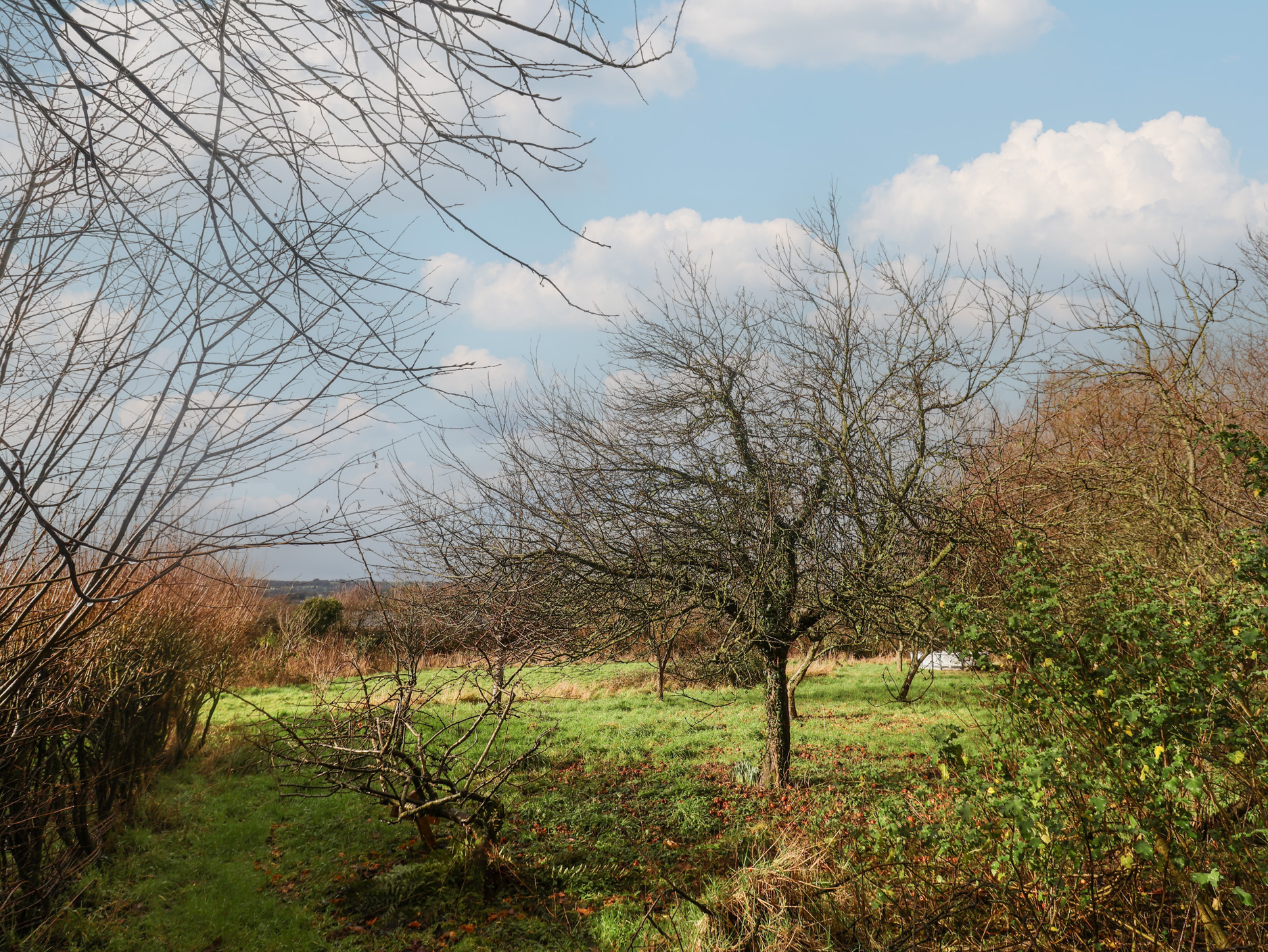 Property image 21 for SC1191826
