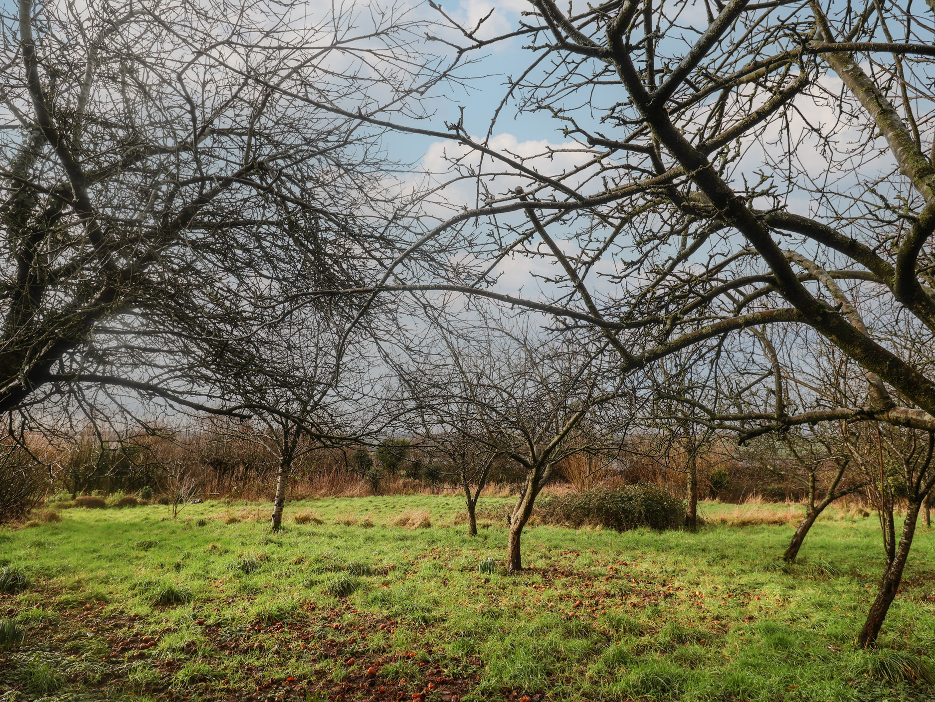 Property image 22 for SC1191826